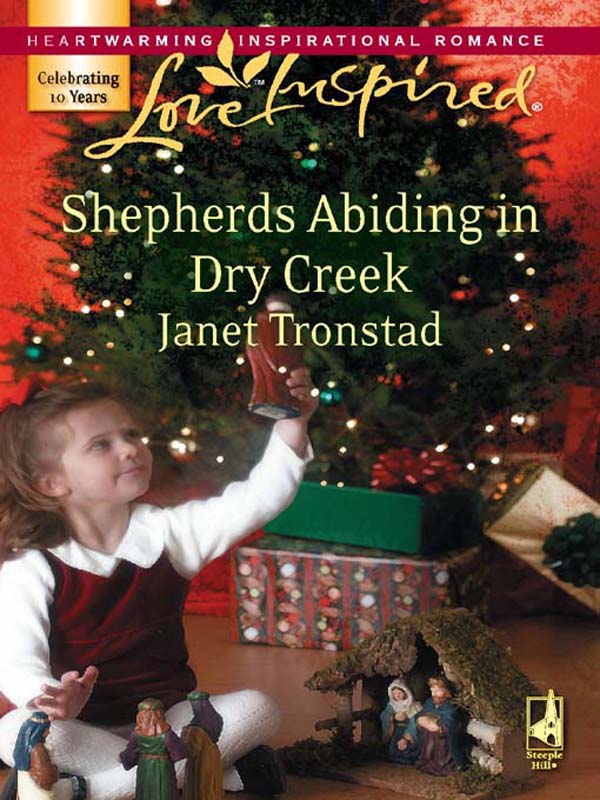 Обложка книги «Shepherds Abiding in Dry Creek»