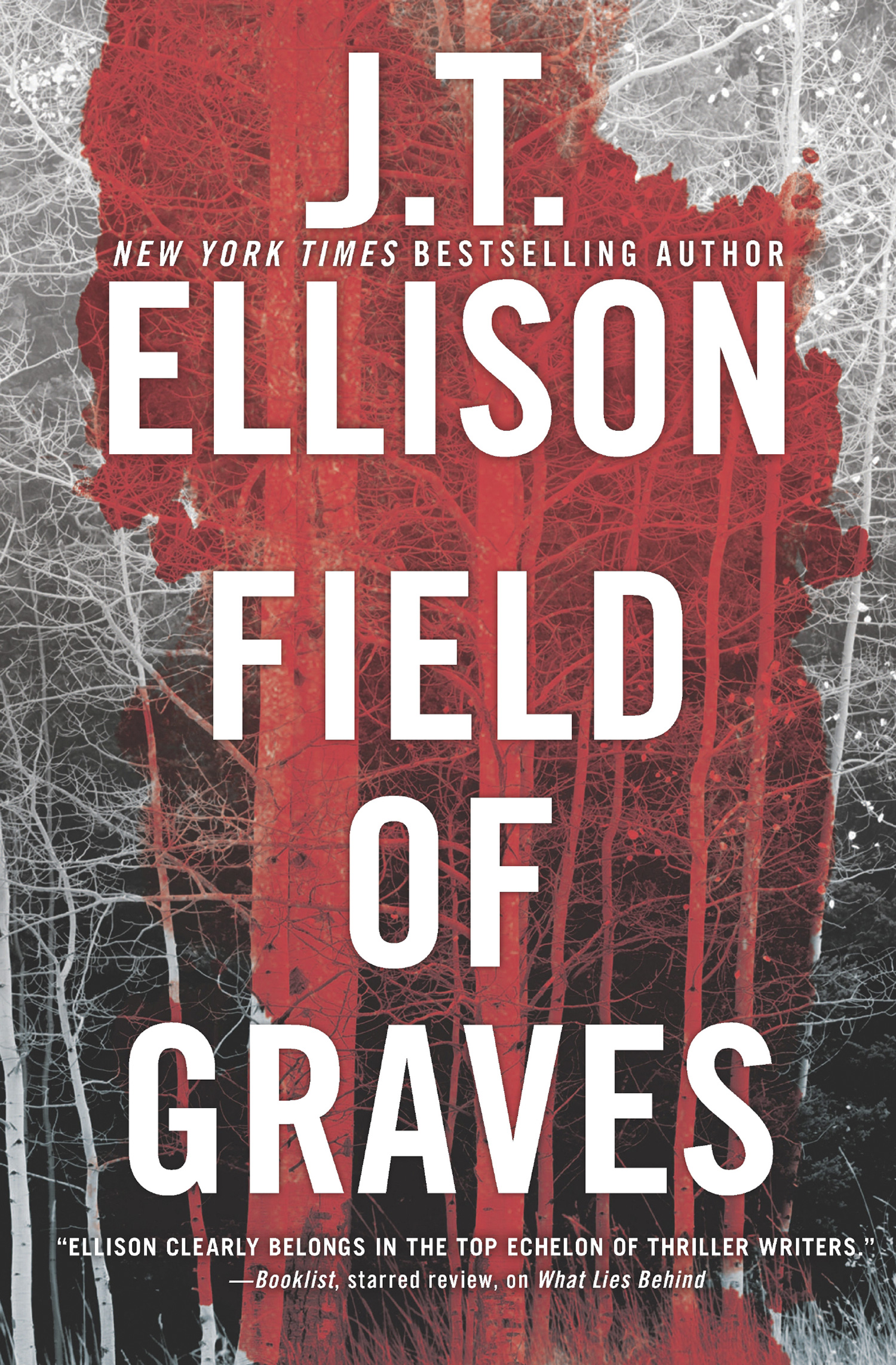 Обложка книги «Field Of Graves»