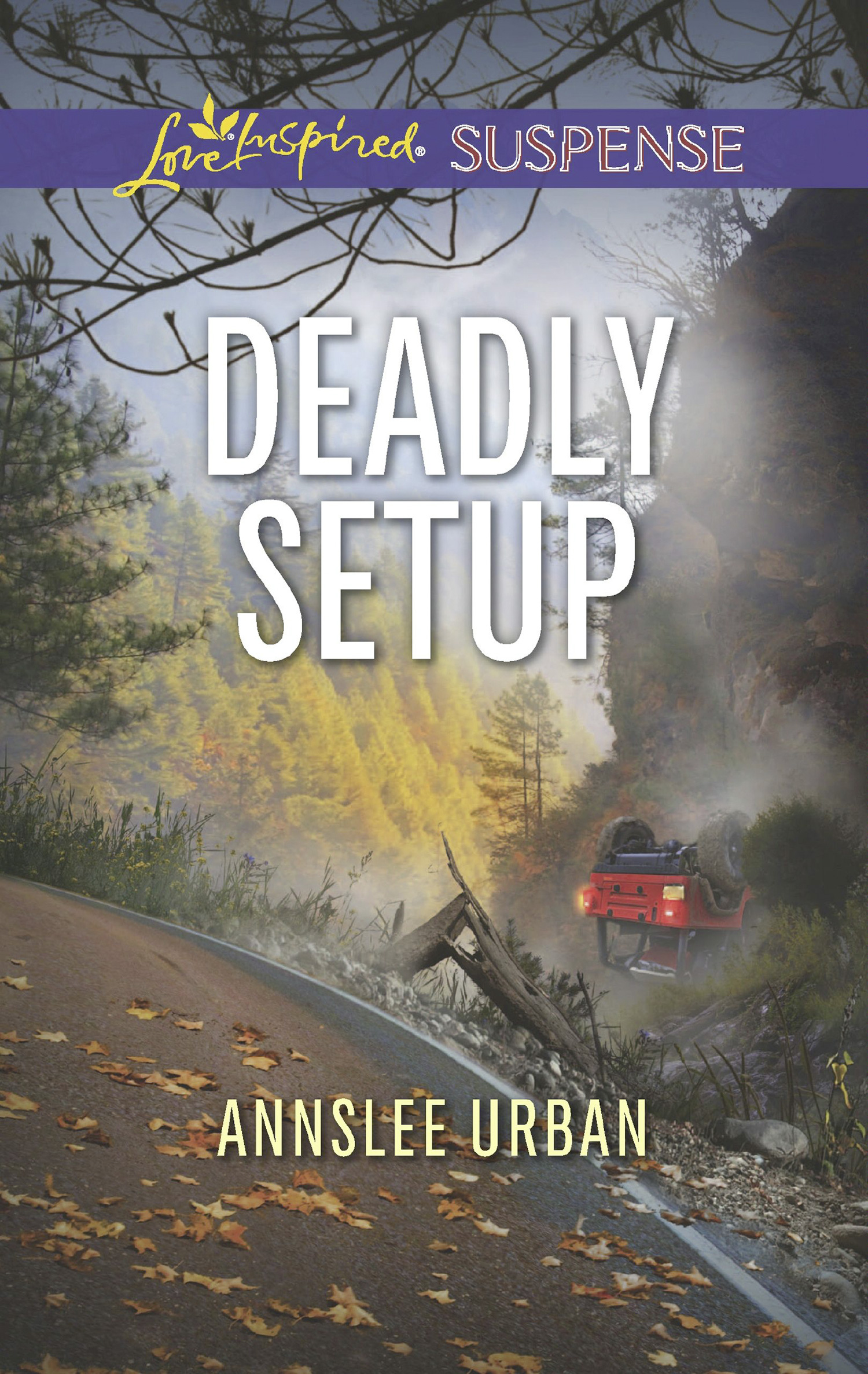 Обложка книги «Deadly Setup»
