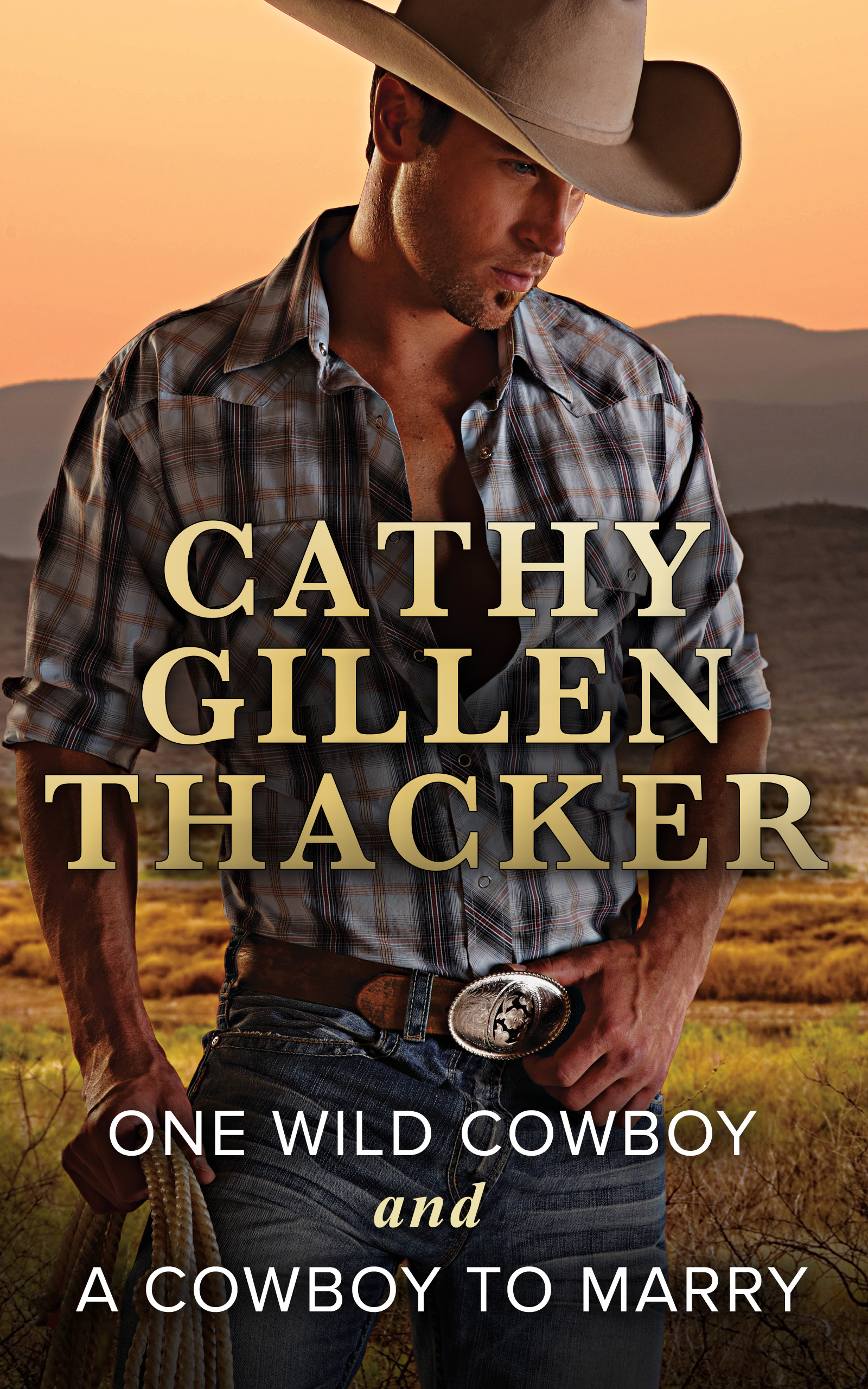 Обложка книги «One Wild Cowboy and A Cowboy To Marry»