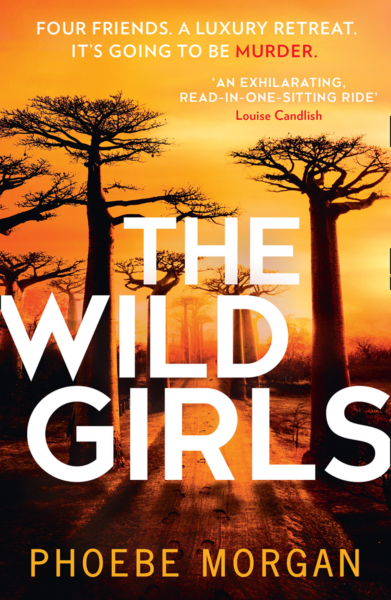 Обложка книги «The Wild Girls»