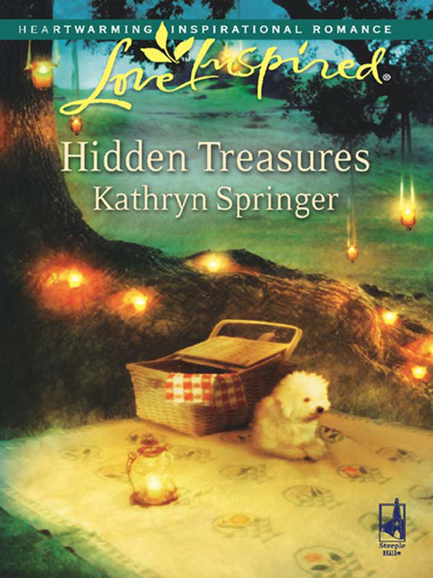 Обложка книги «Hidden Treasures»