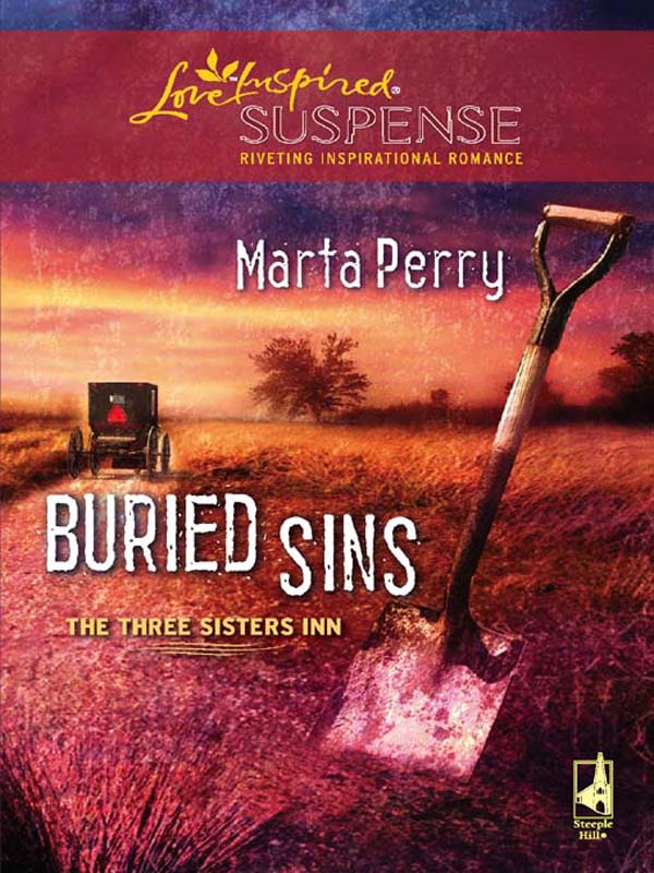 Обложка книги «Buried Sins»