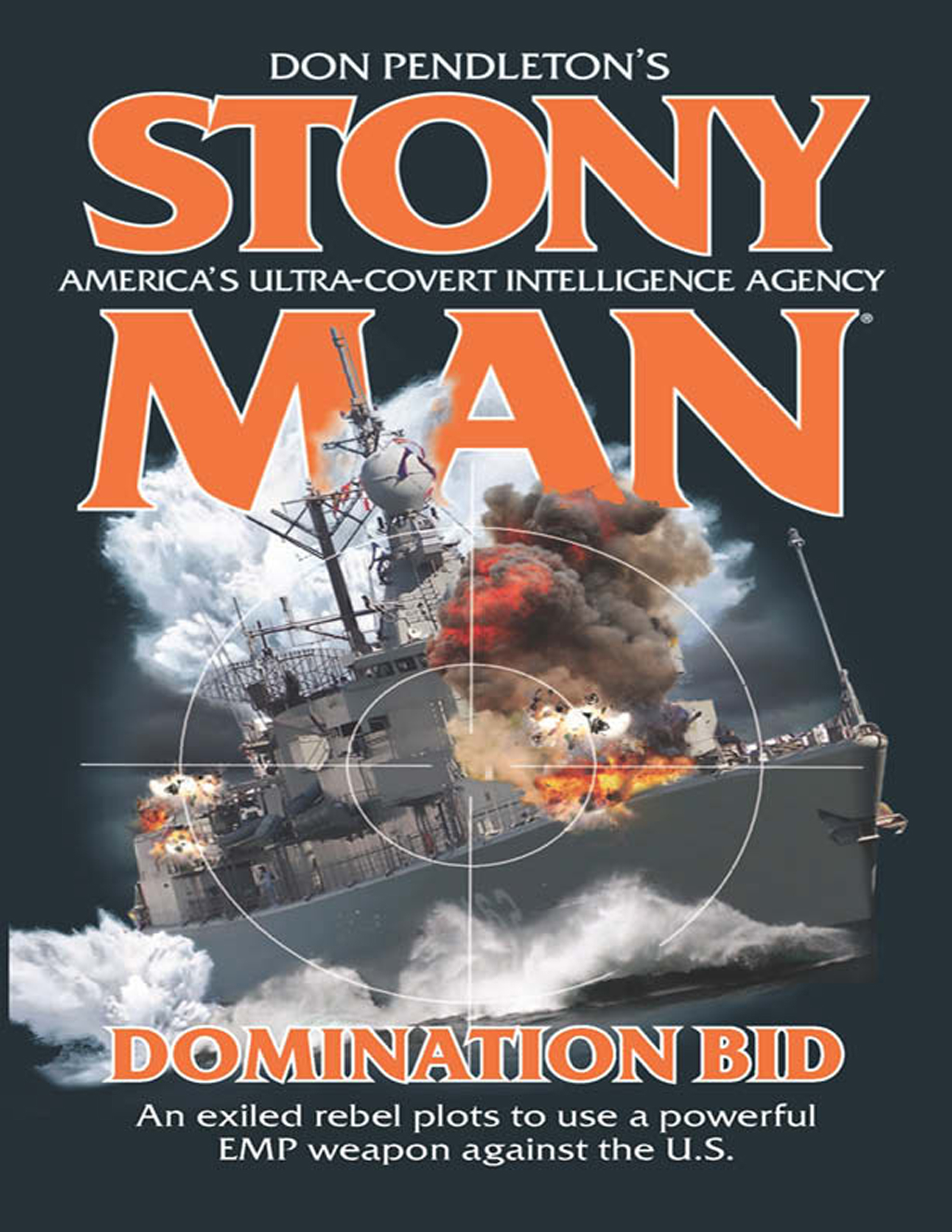 Обложка книги «Domination Bid»