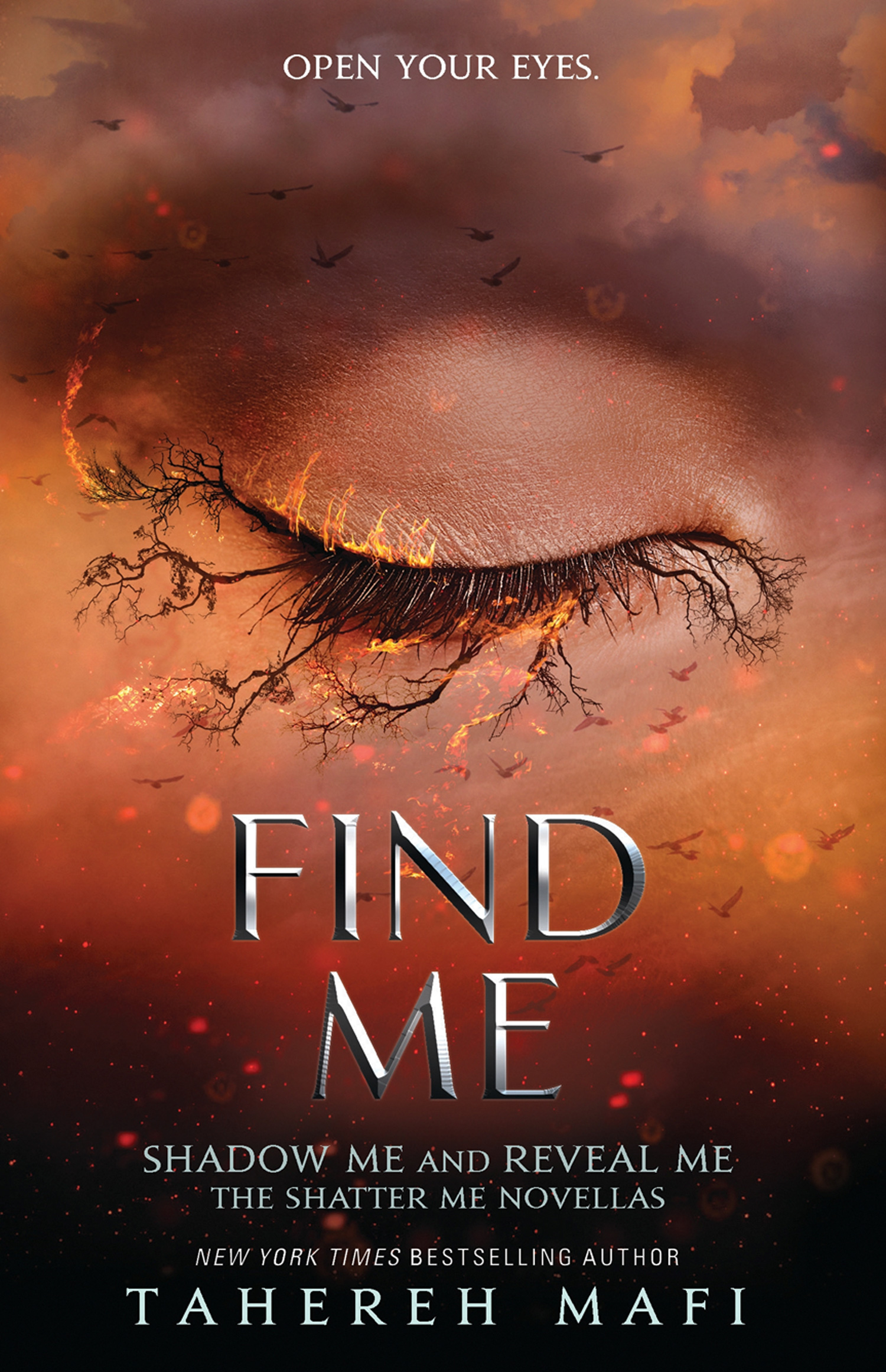 Обложка книги «Find Me»