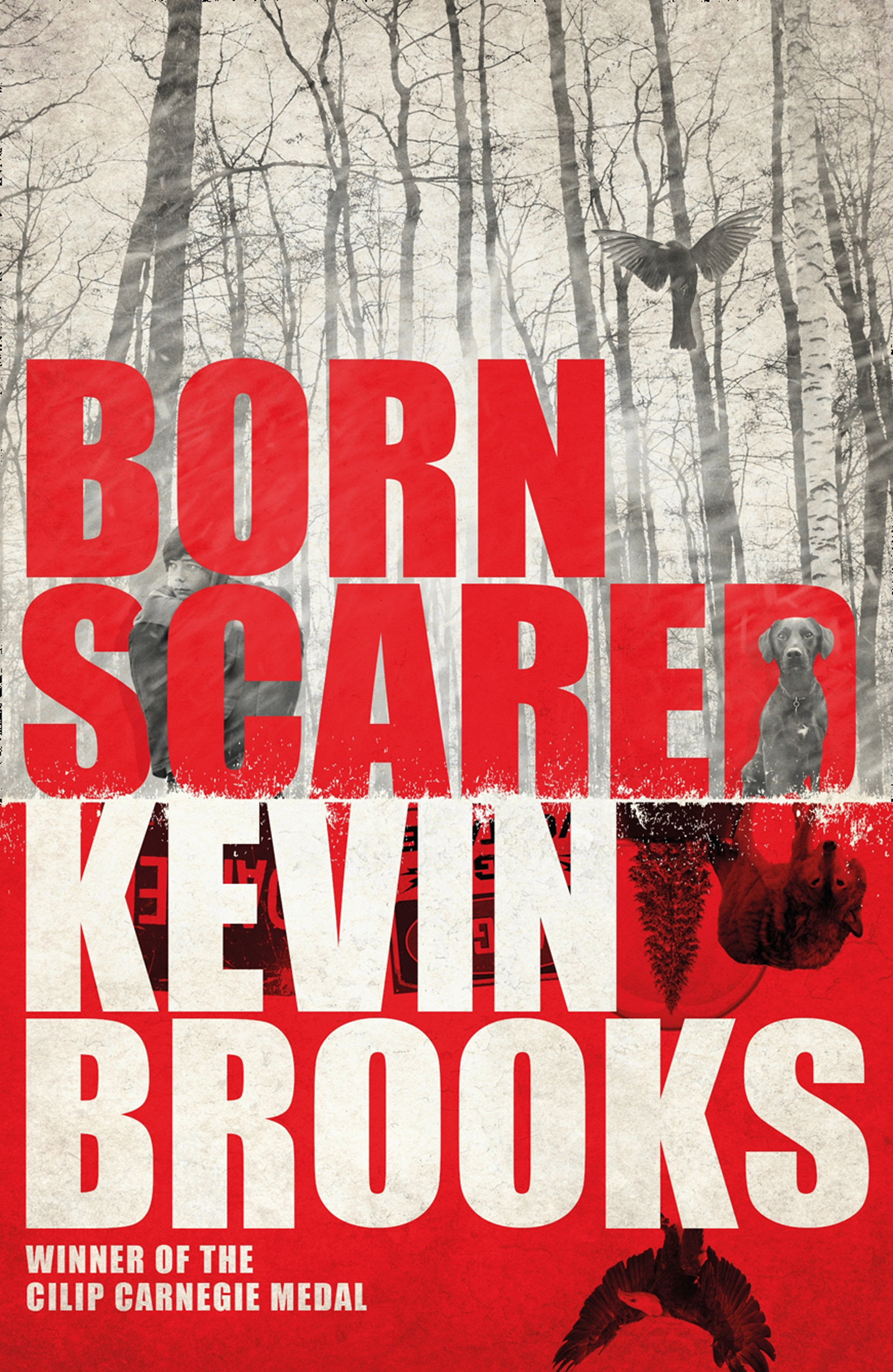 Обложка книги «Born Scared»