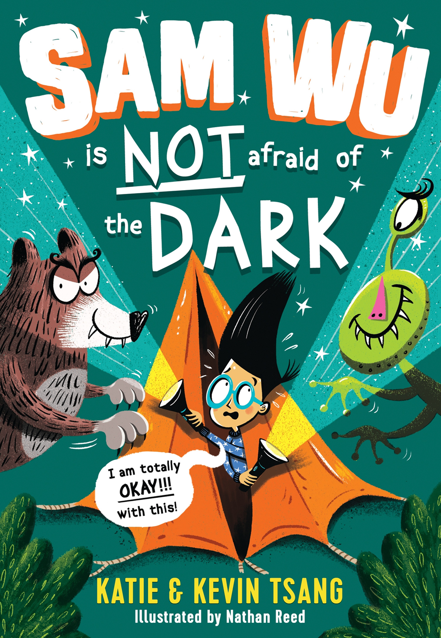 Обложка книги «Sam Wu is NOT Afraid of the Dark!»