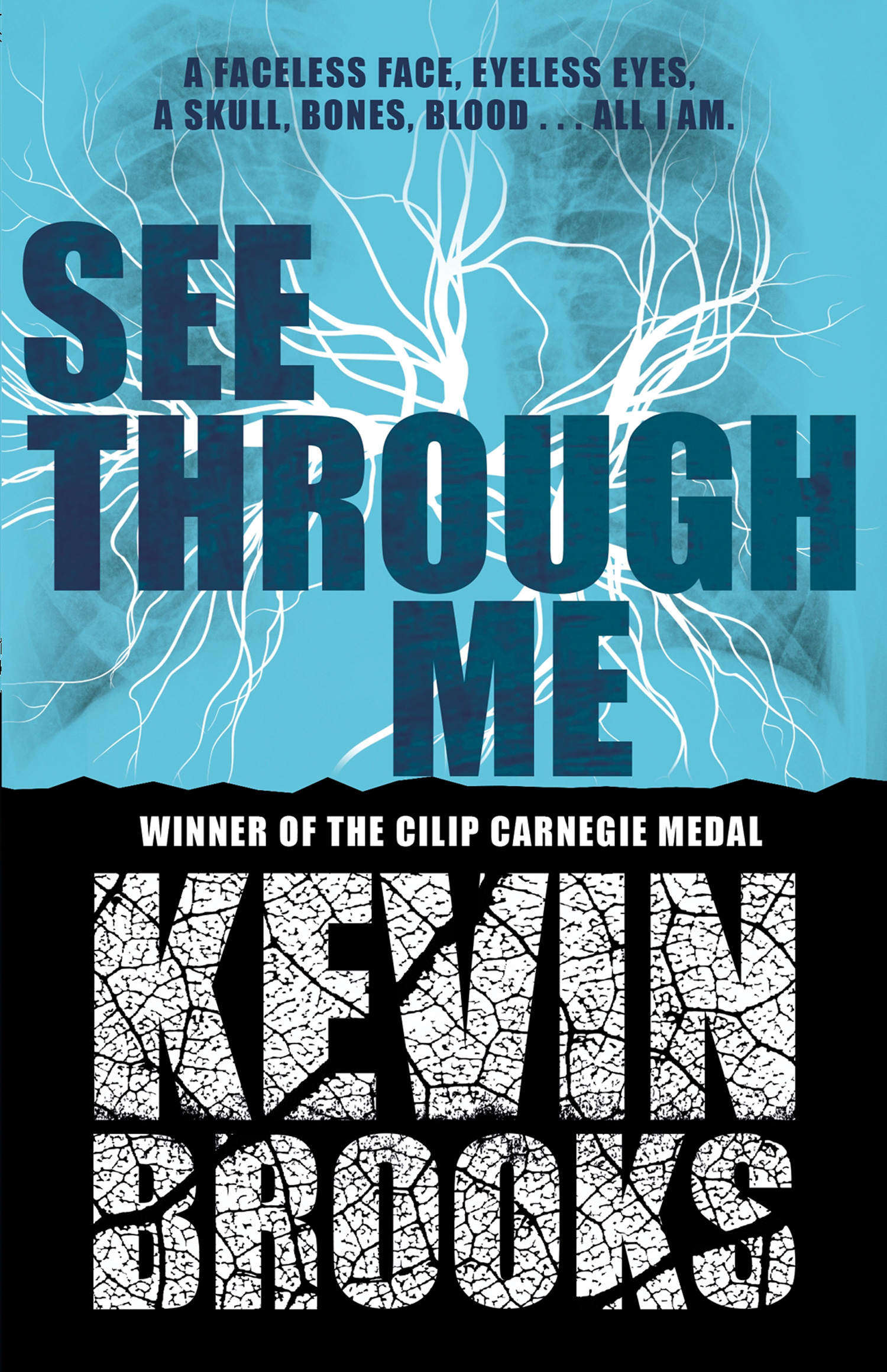 Обложка книги «See Through Me»