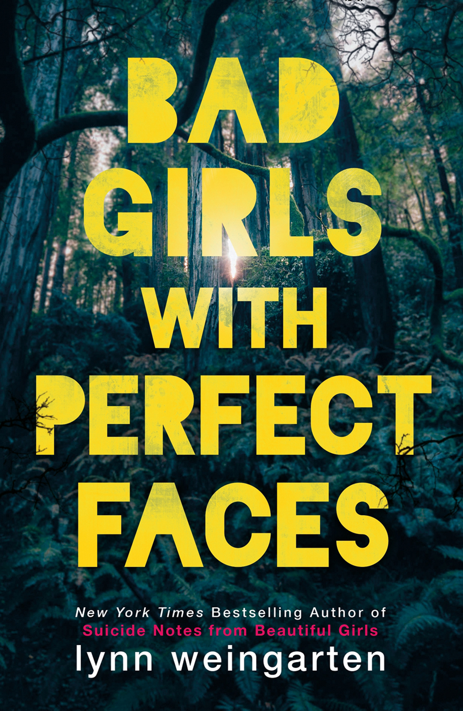 Обложка книги «Bad Girls with Perfect Faces»