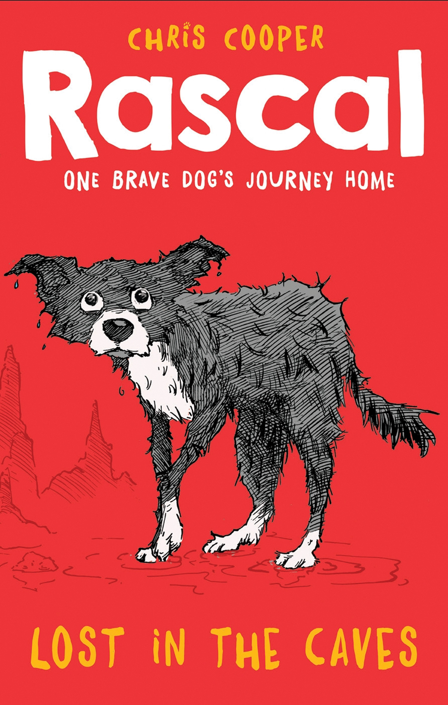 Обложка книги «Rascal: Lost in the Caves»