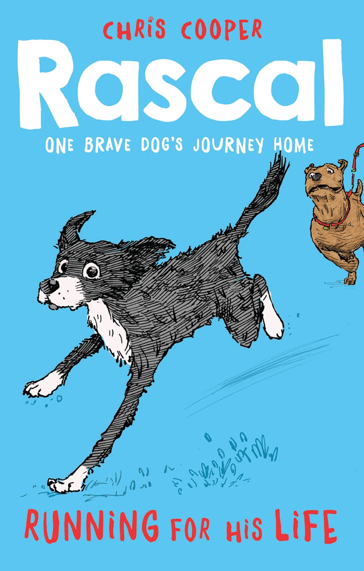 Обложка книги «Rascal: Running For His Life»