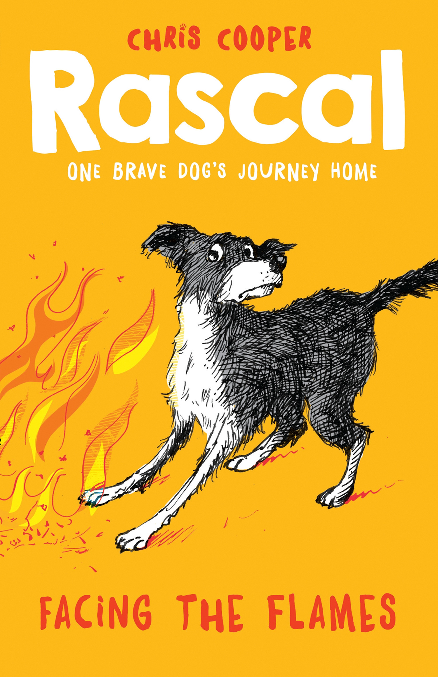 Обложка книги «Rascal: Facing the Flames»