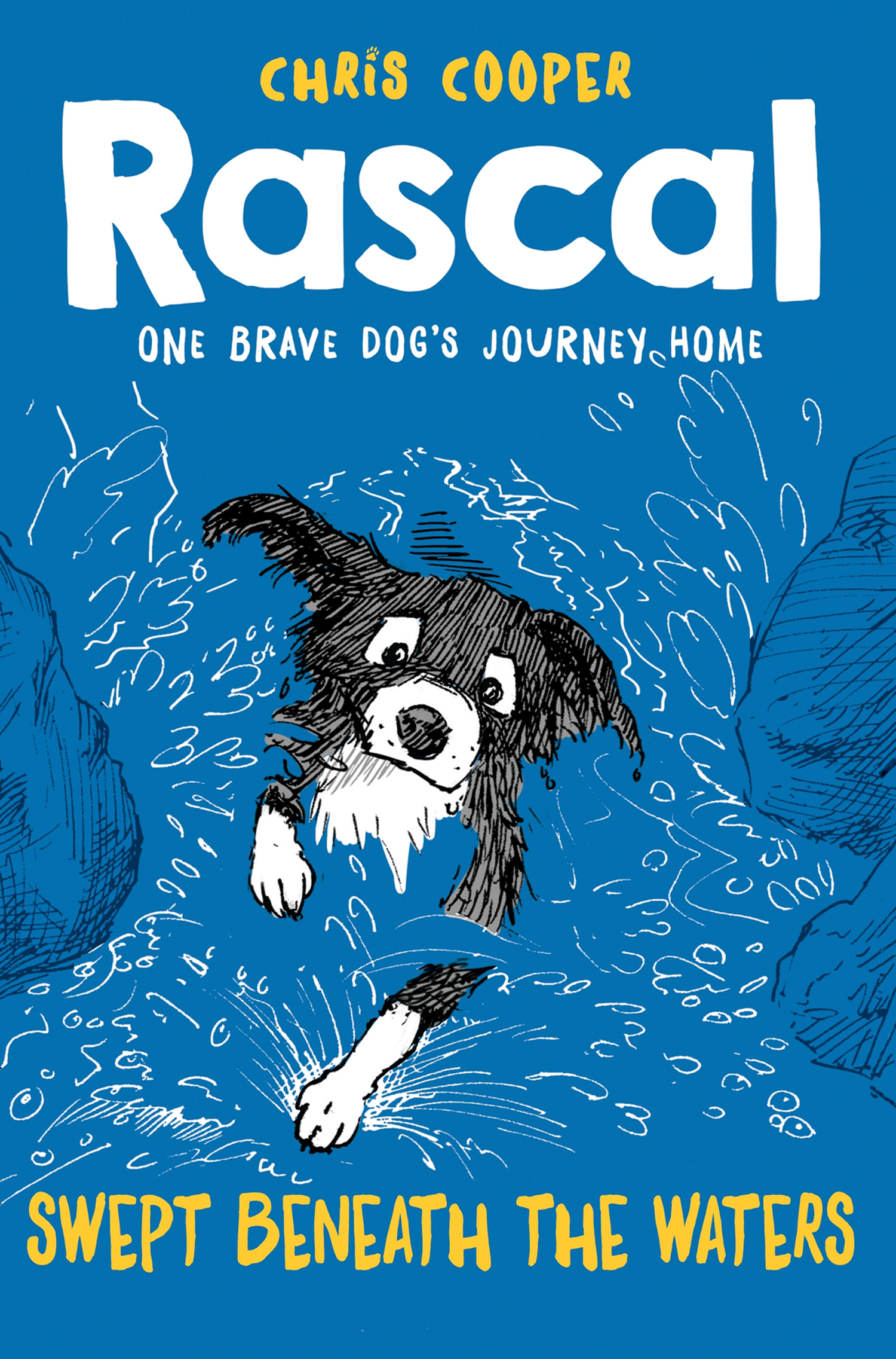 Обложка книги «Rascal: Swept Beneath The Waters»