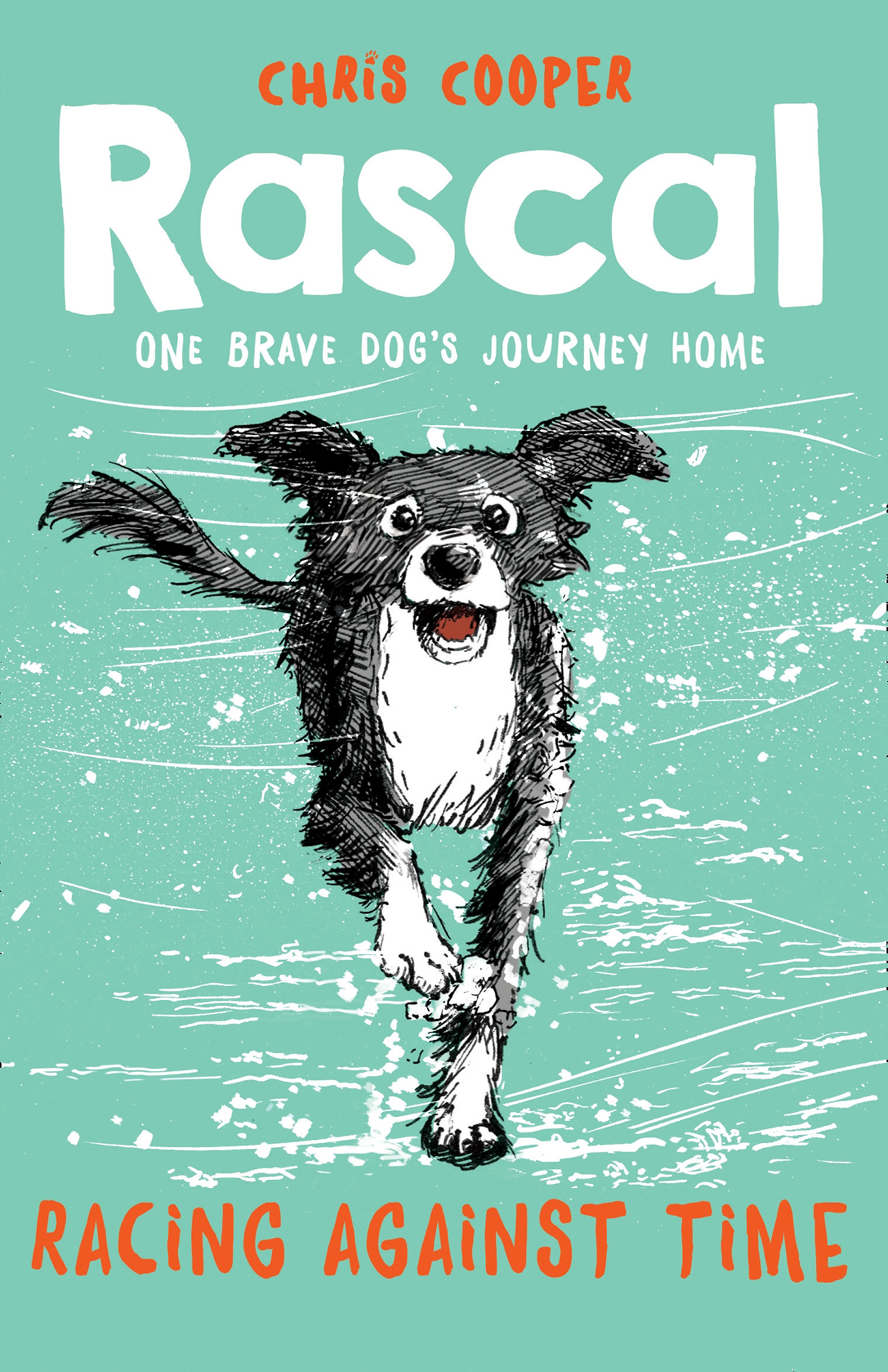 Обложка книги «Rascal: Racing Against Time»