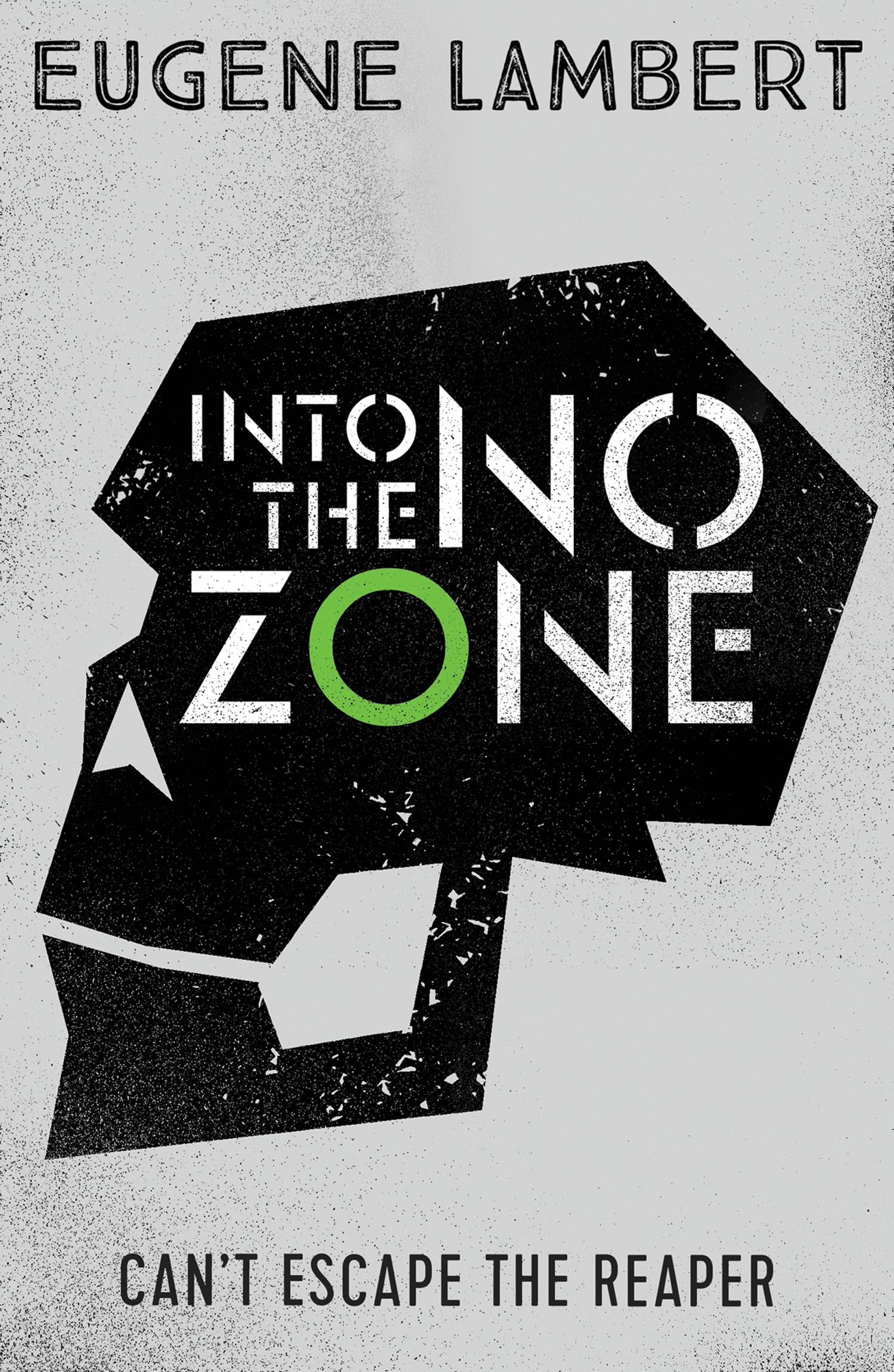 Обложка книги «Into the No-Zone»