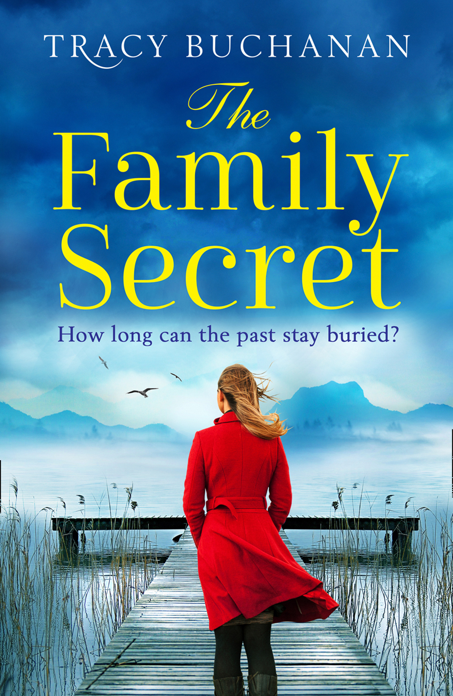 Обложка книги «The Family Secret»
