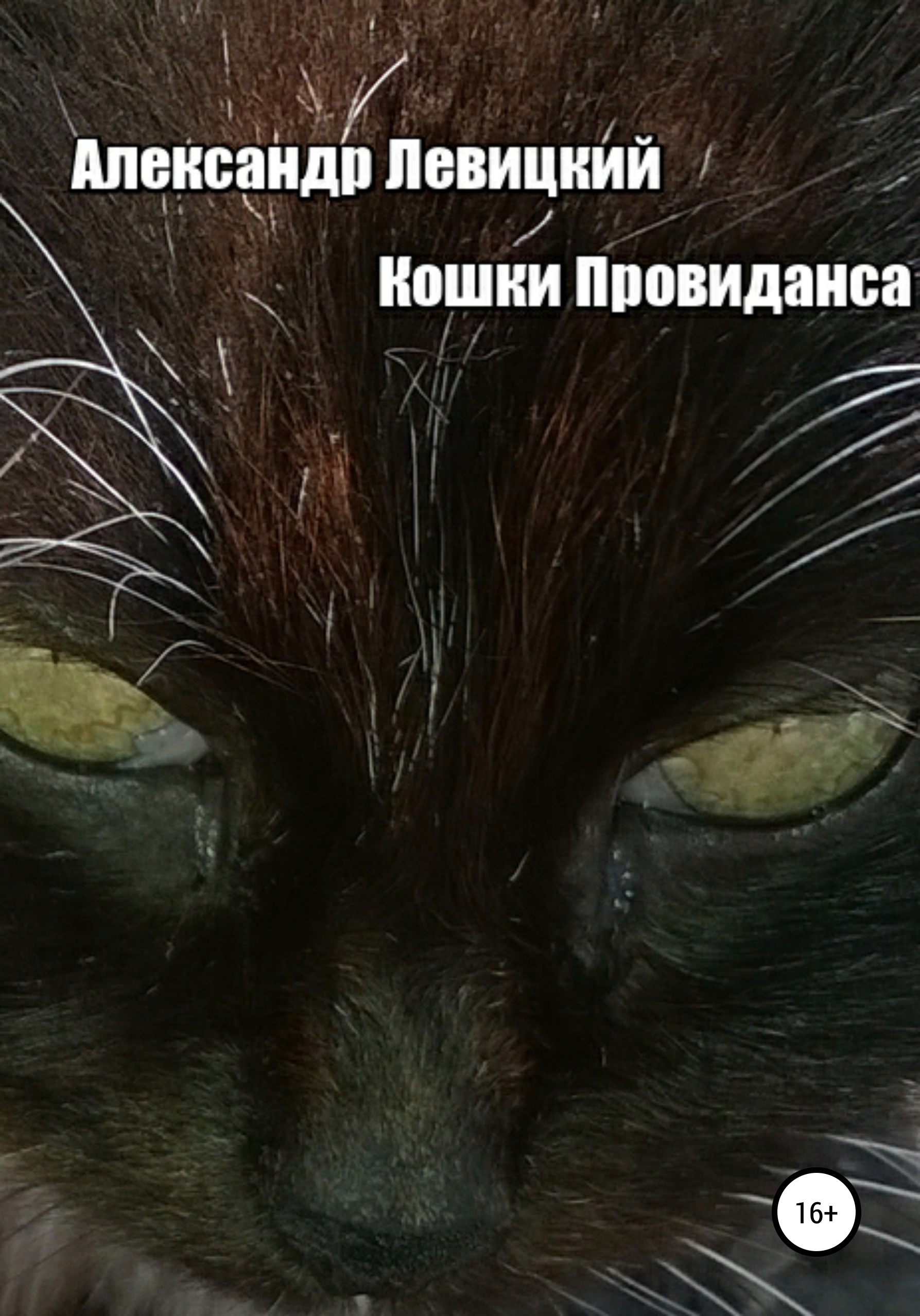Обложка книги «Кошки Провиданса»