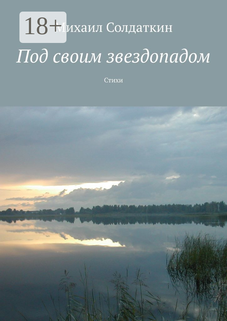 Обложка книги «Под своим звездопадом. Стихи»