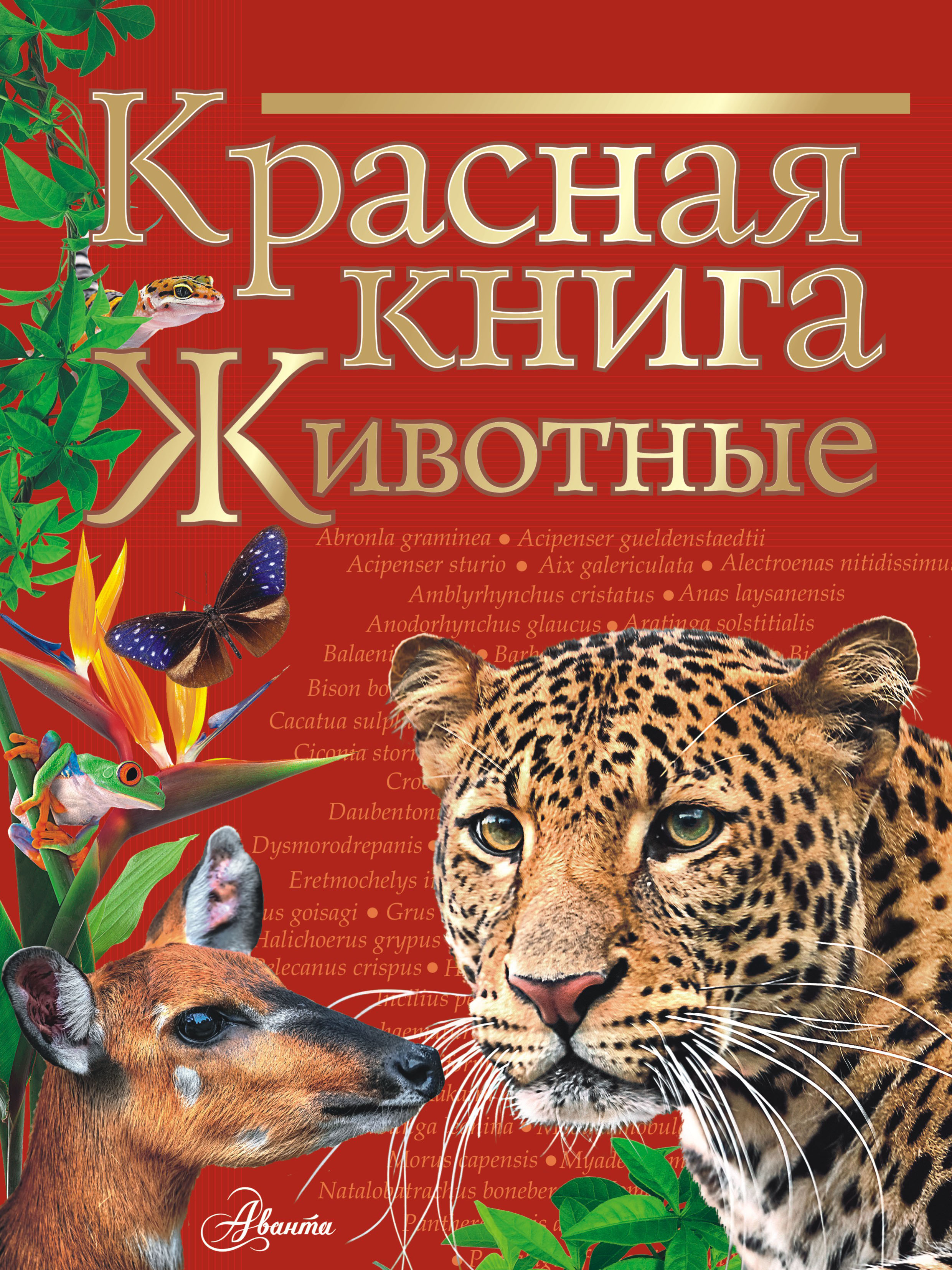 Обложка книги «Красная книга мира. Животные»