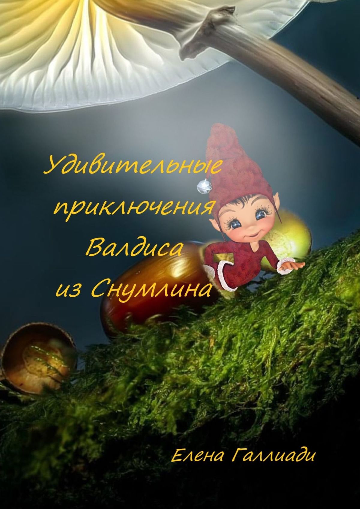 Обложка книги «Удивительные приключения Валдиса из Снумлина»