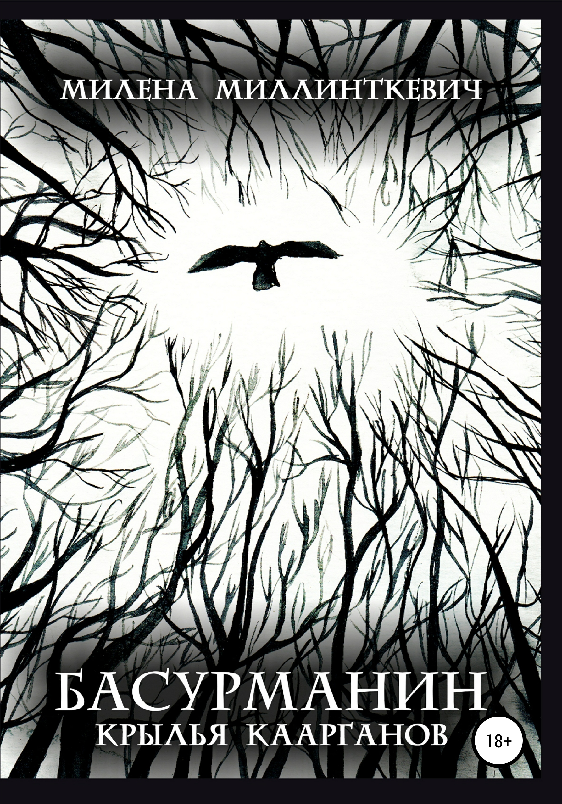 Обложка книги «Басурманин. Крылья каарганов»