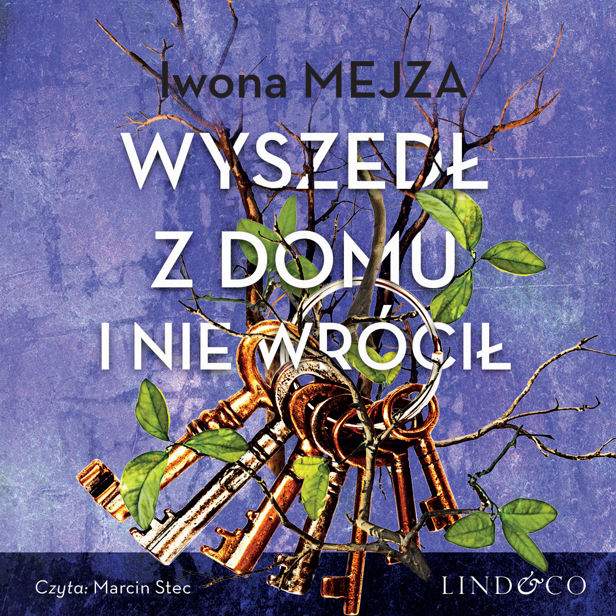 Обложка книги «Wyszedł z domu i nie wrócił»