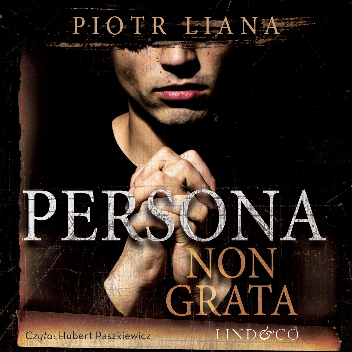 Обложка книги «Persona non grata»