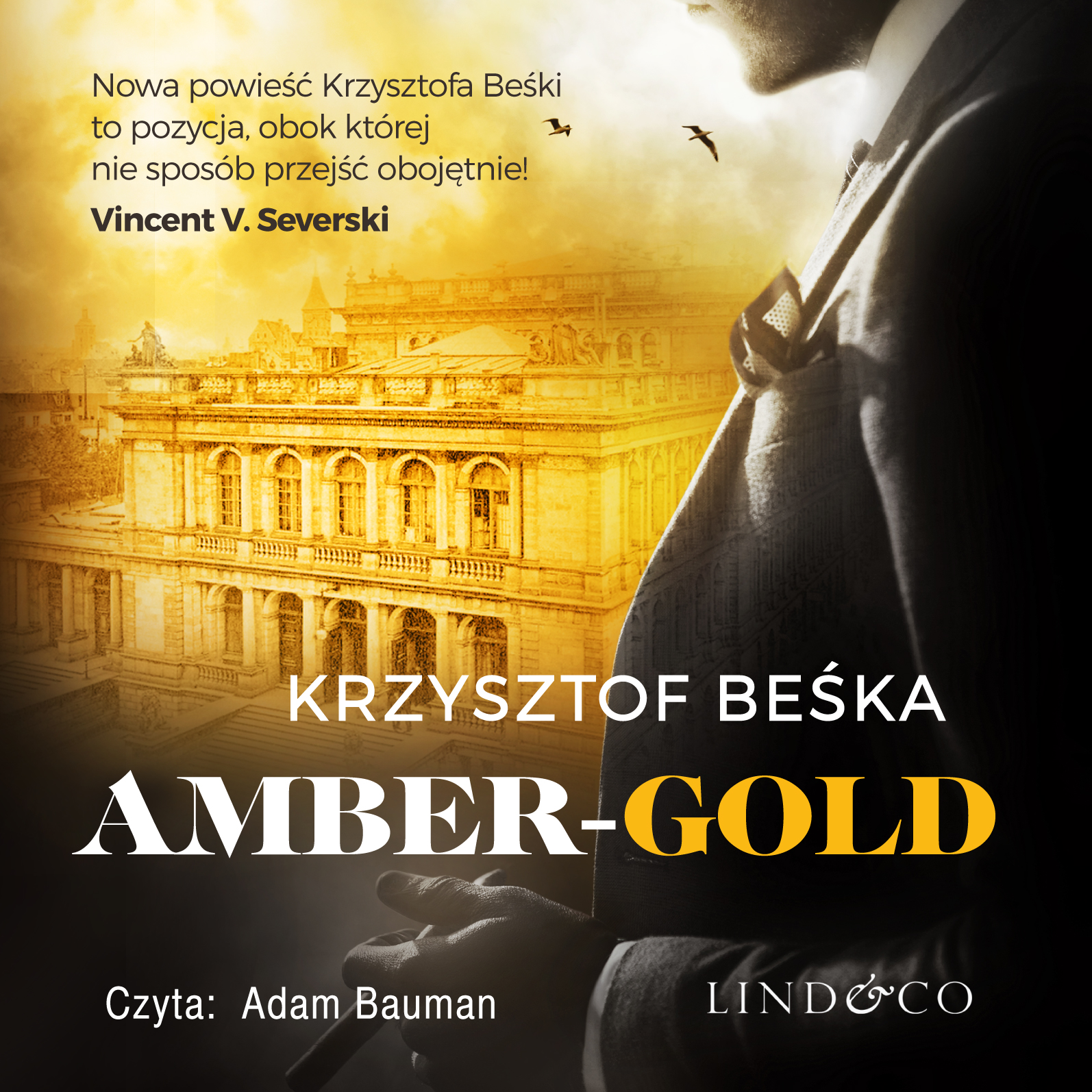 Обложка книги «Amber Gold»