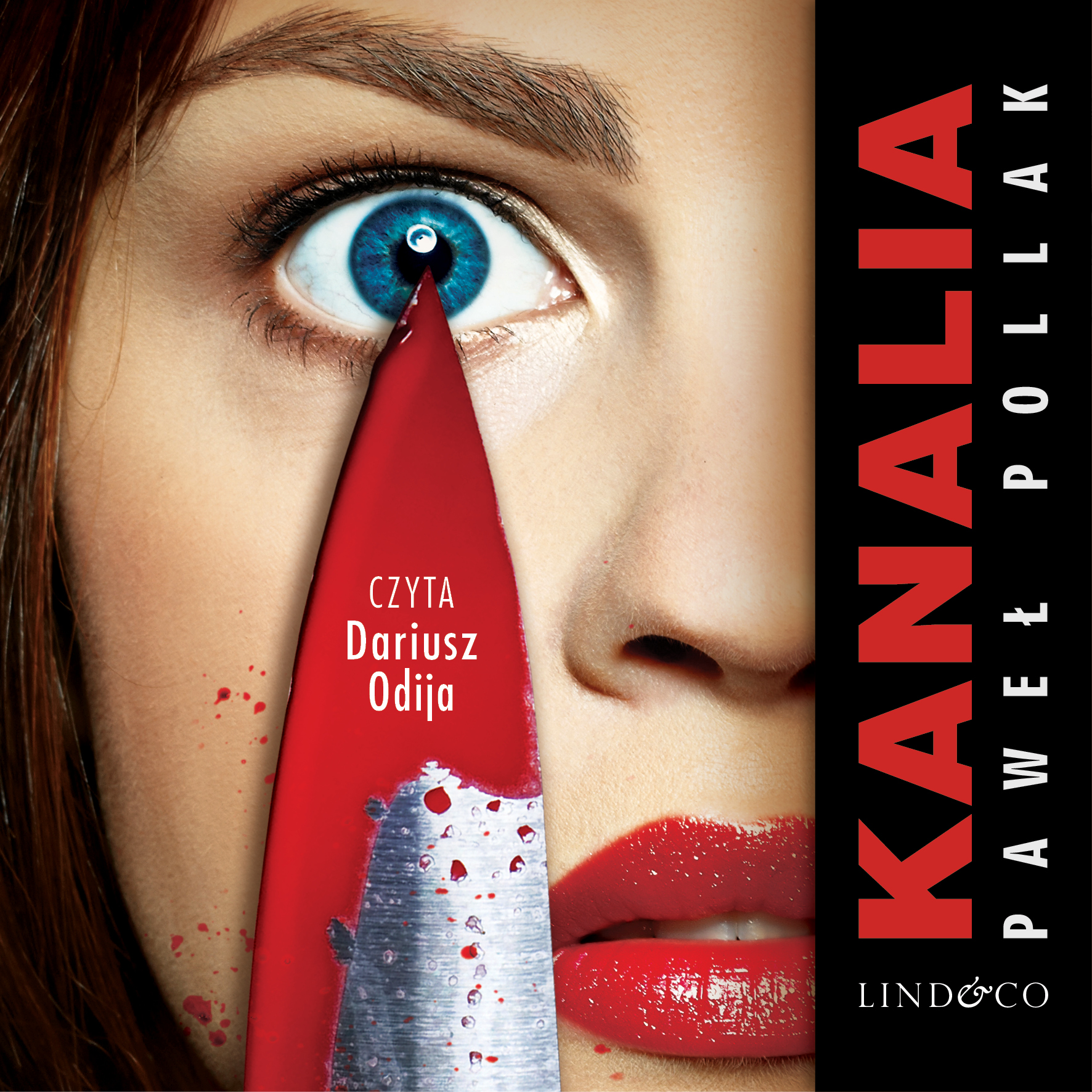 Обложка книги «Kanalia»