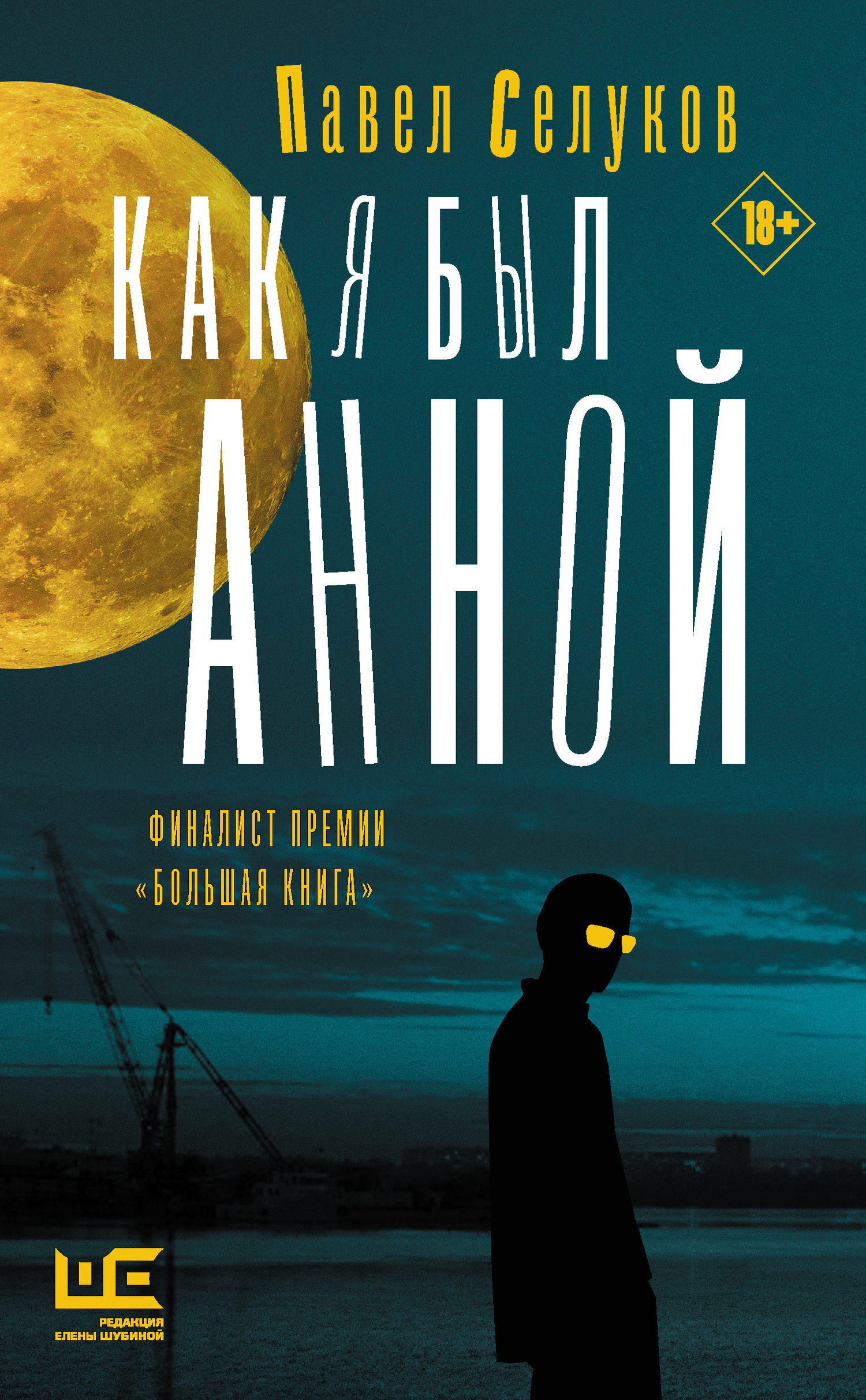 Обложка книги «Как я был Анной»