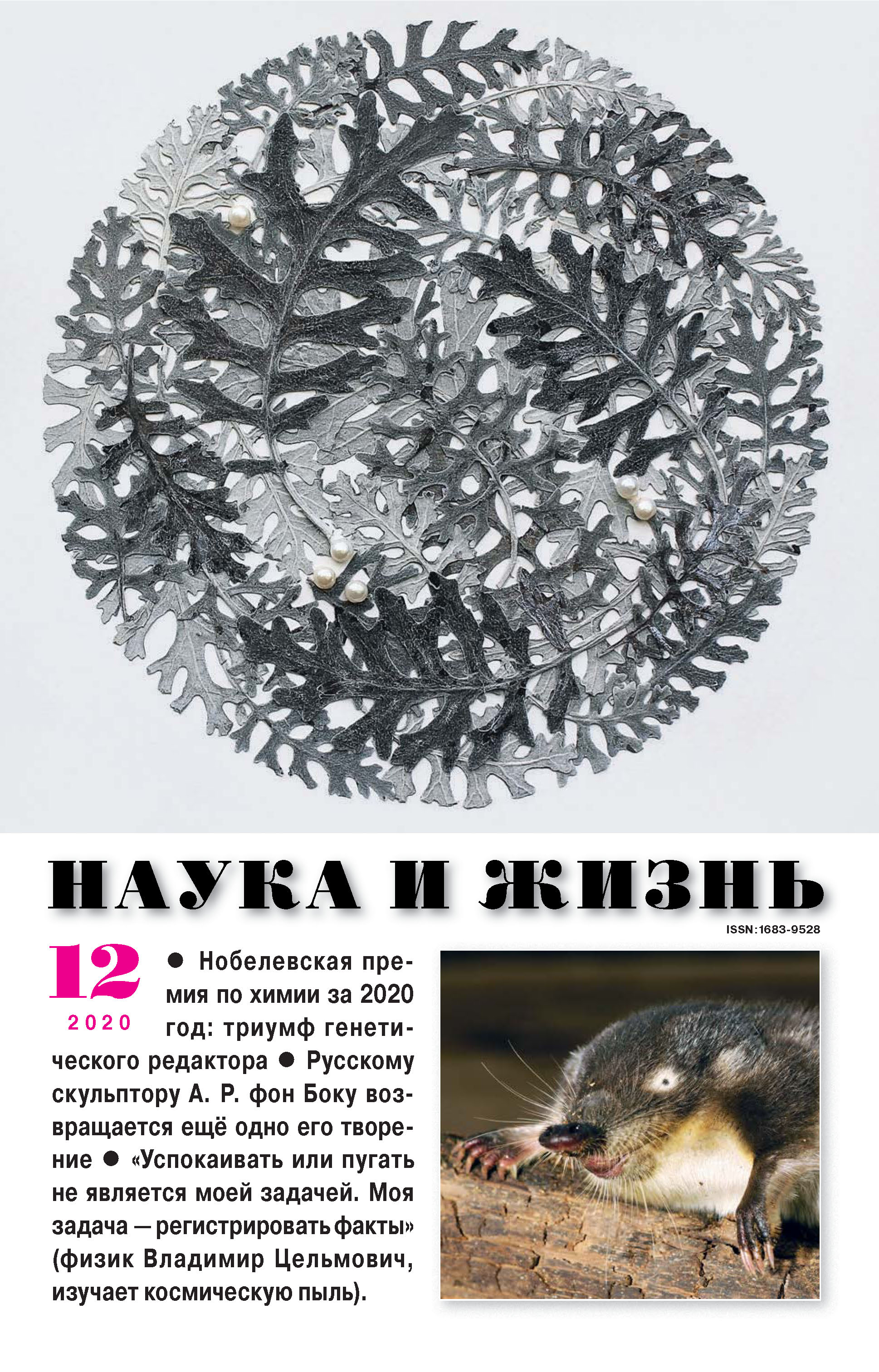 Обложка книги «Наука и жизнь №12/2020»