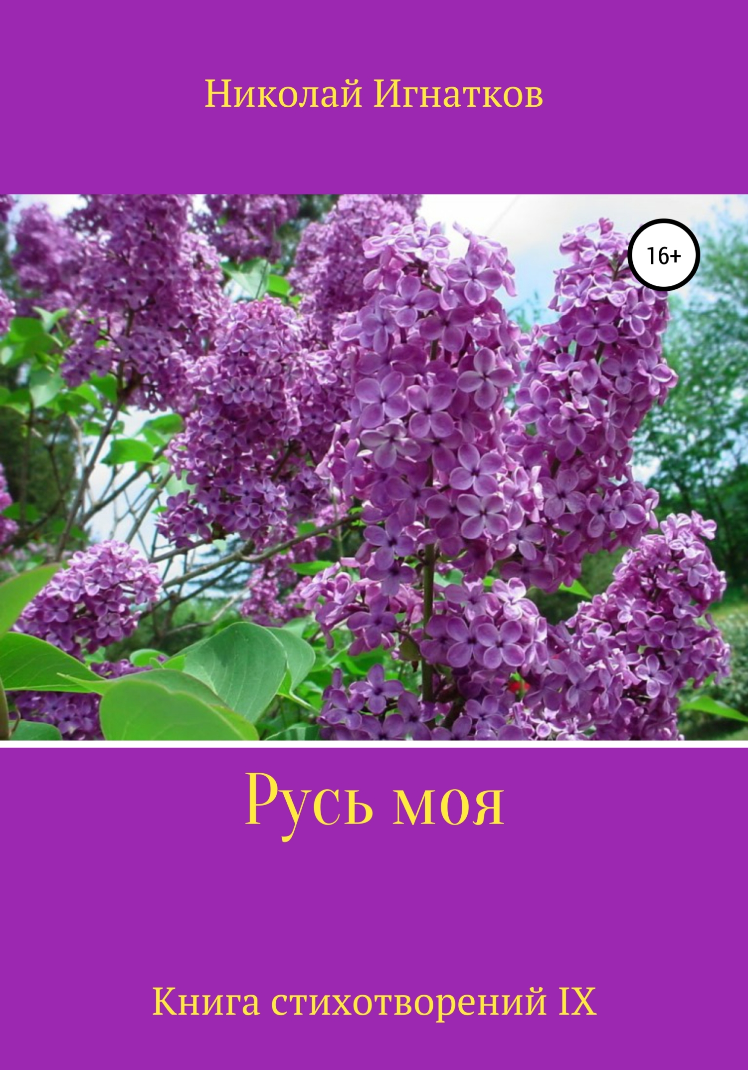 Обложка книги «Русь моя. Книга IX»
