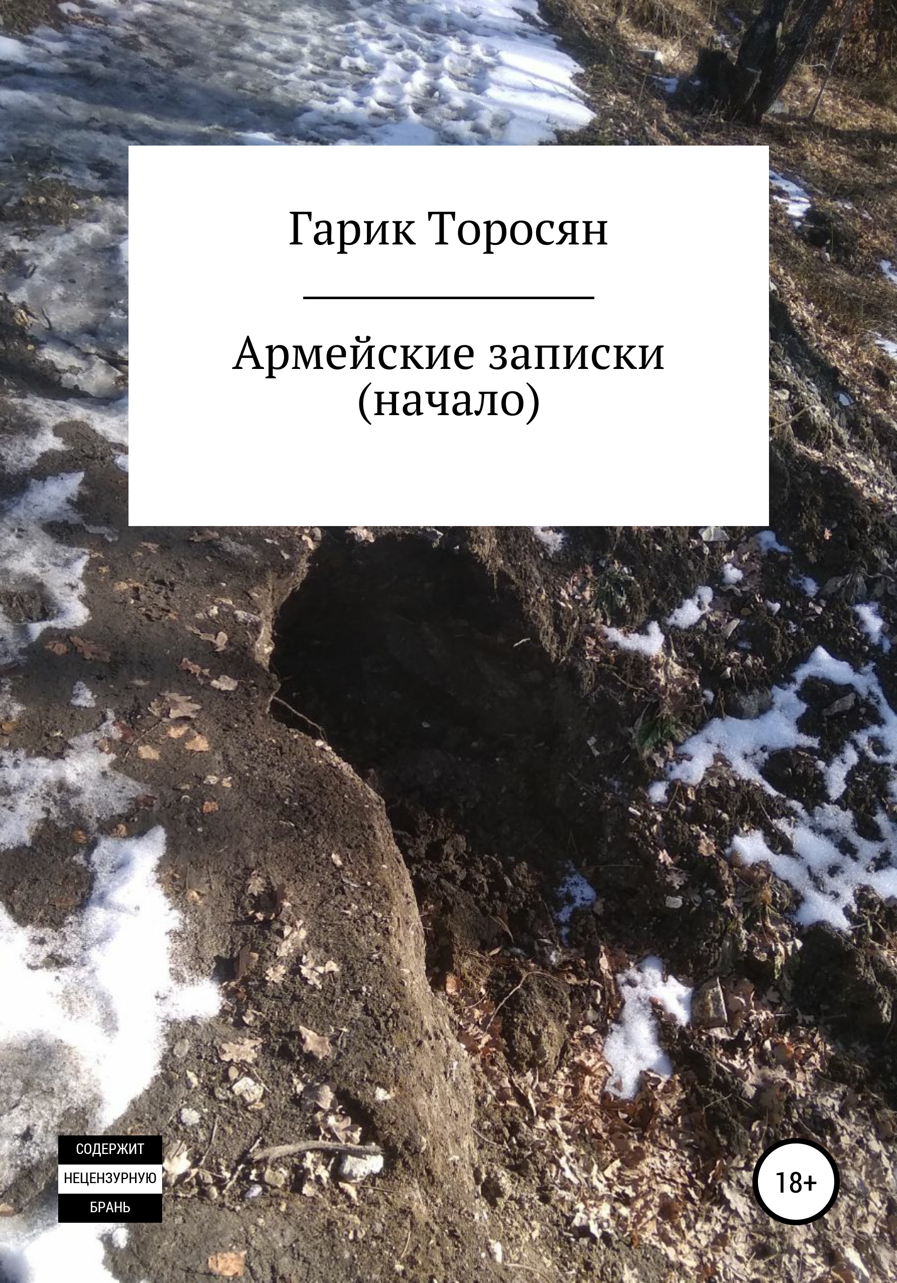 Обложка книги «Армейские записки. Начало»