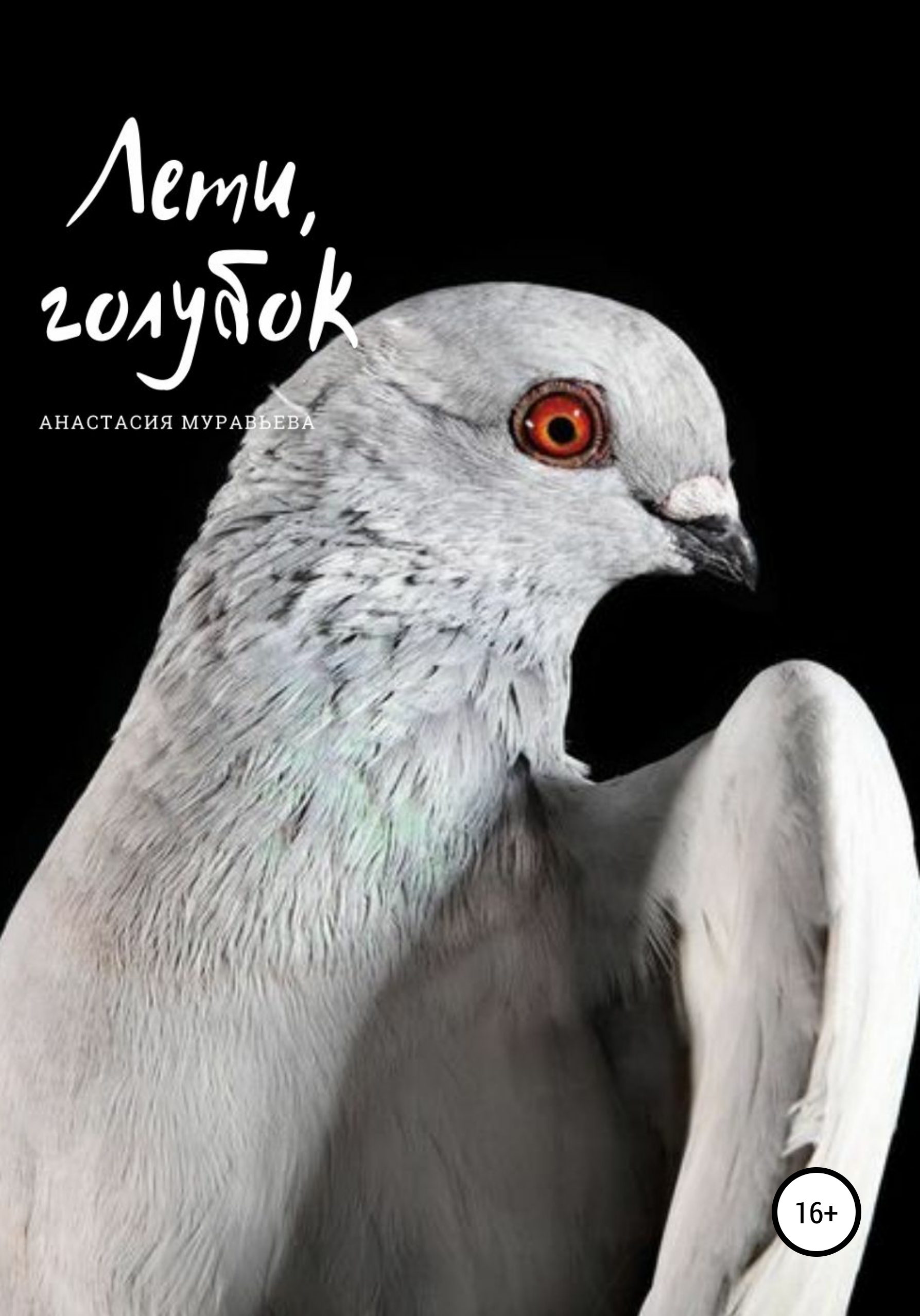 Обложка книги «Лети, голубок»