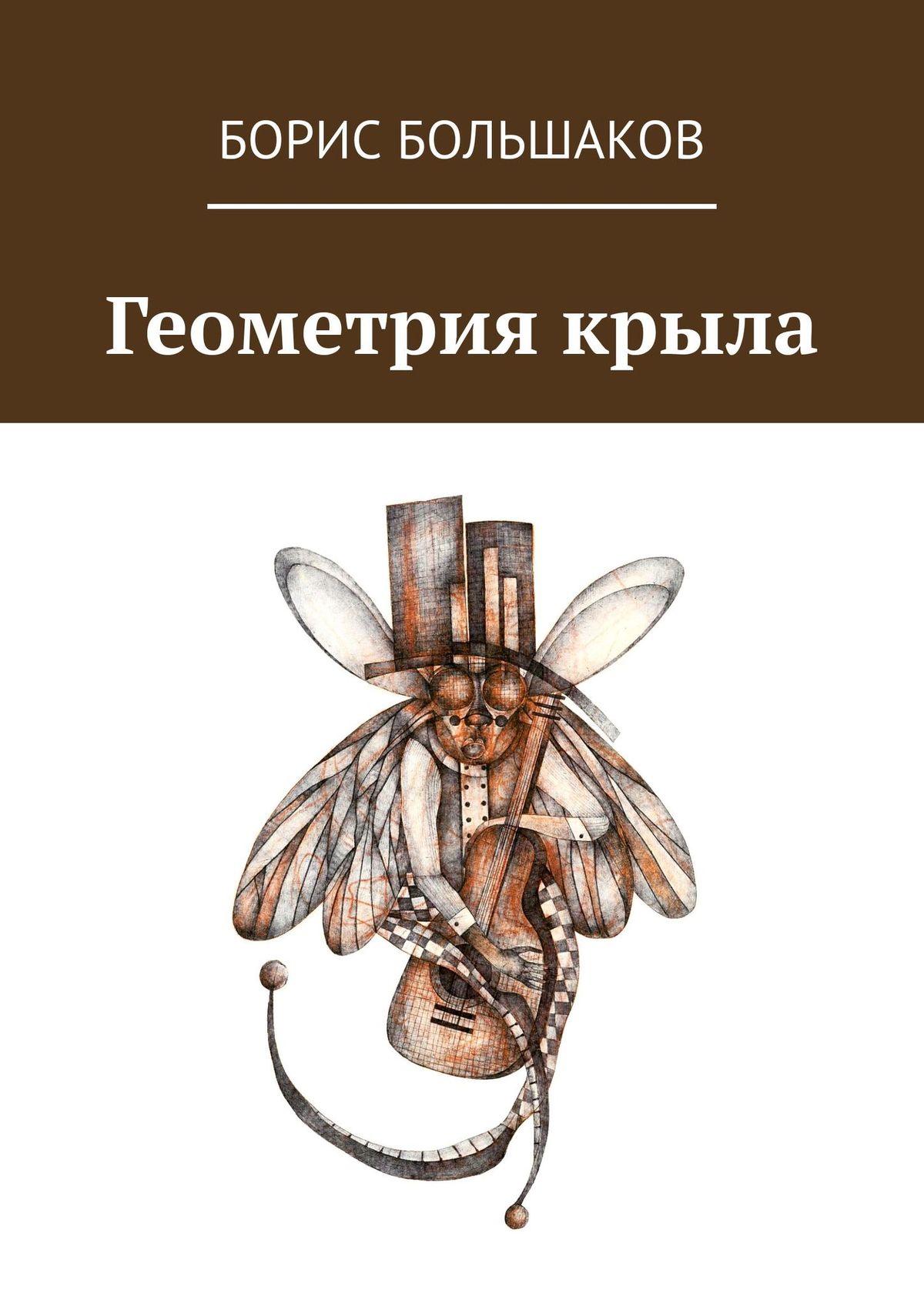 Обложка книги «Геометрия крыла»