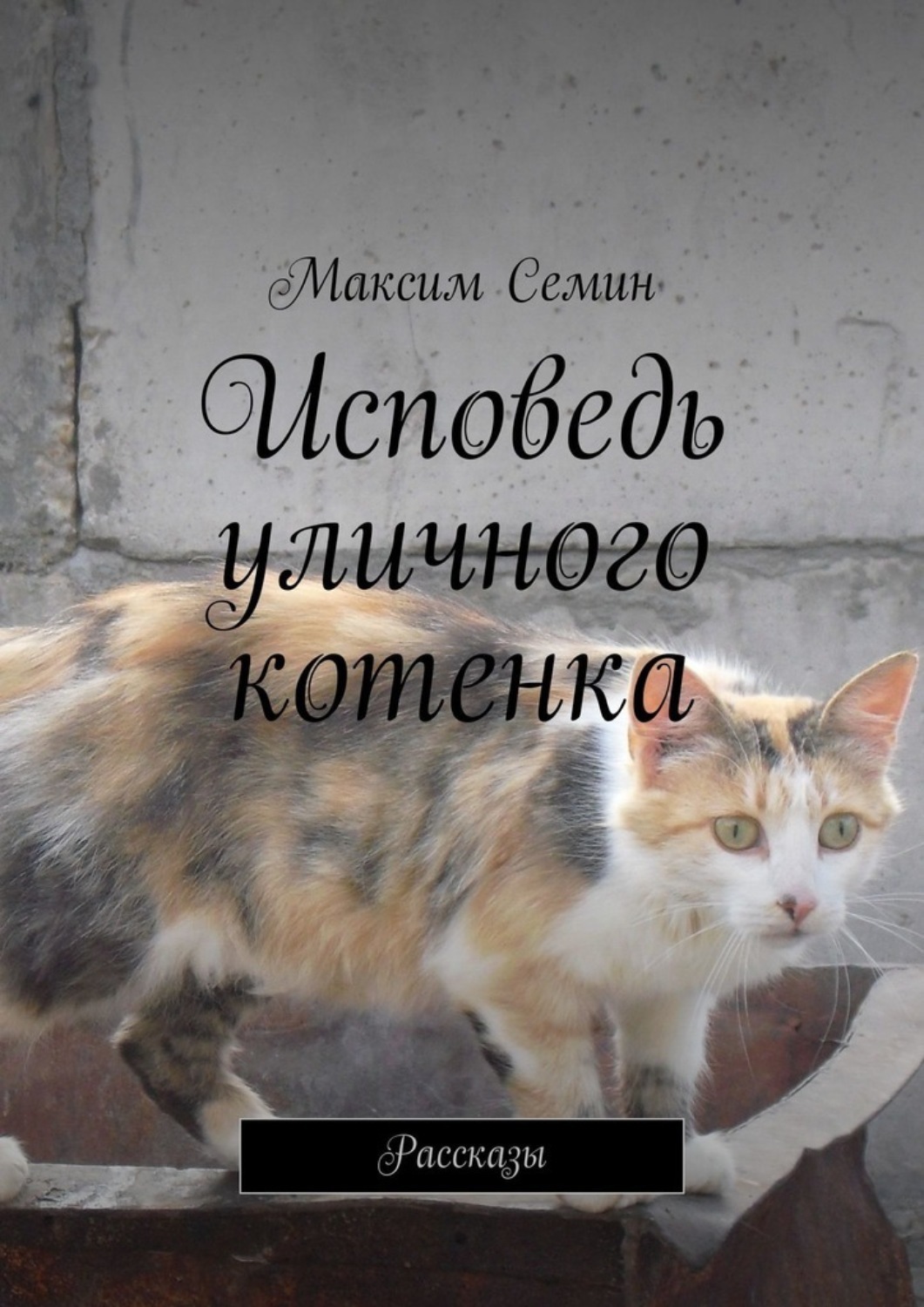 Обложка книги «Исповедь уличного котенка. Рассказы»