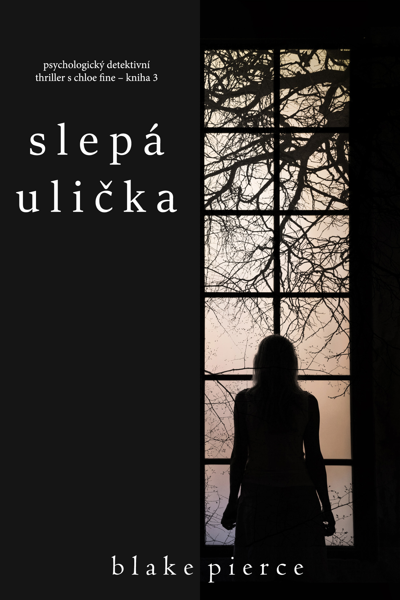 Обложка книги «Slepá ulička»