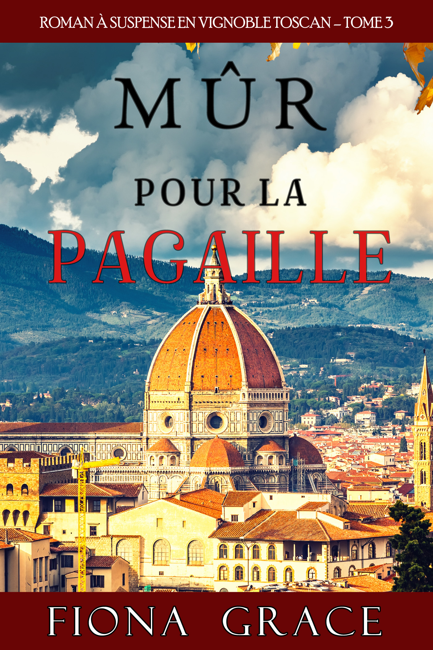 Обложка книги «Mûr pour la Pagaille»