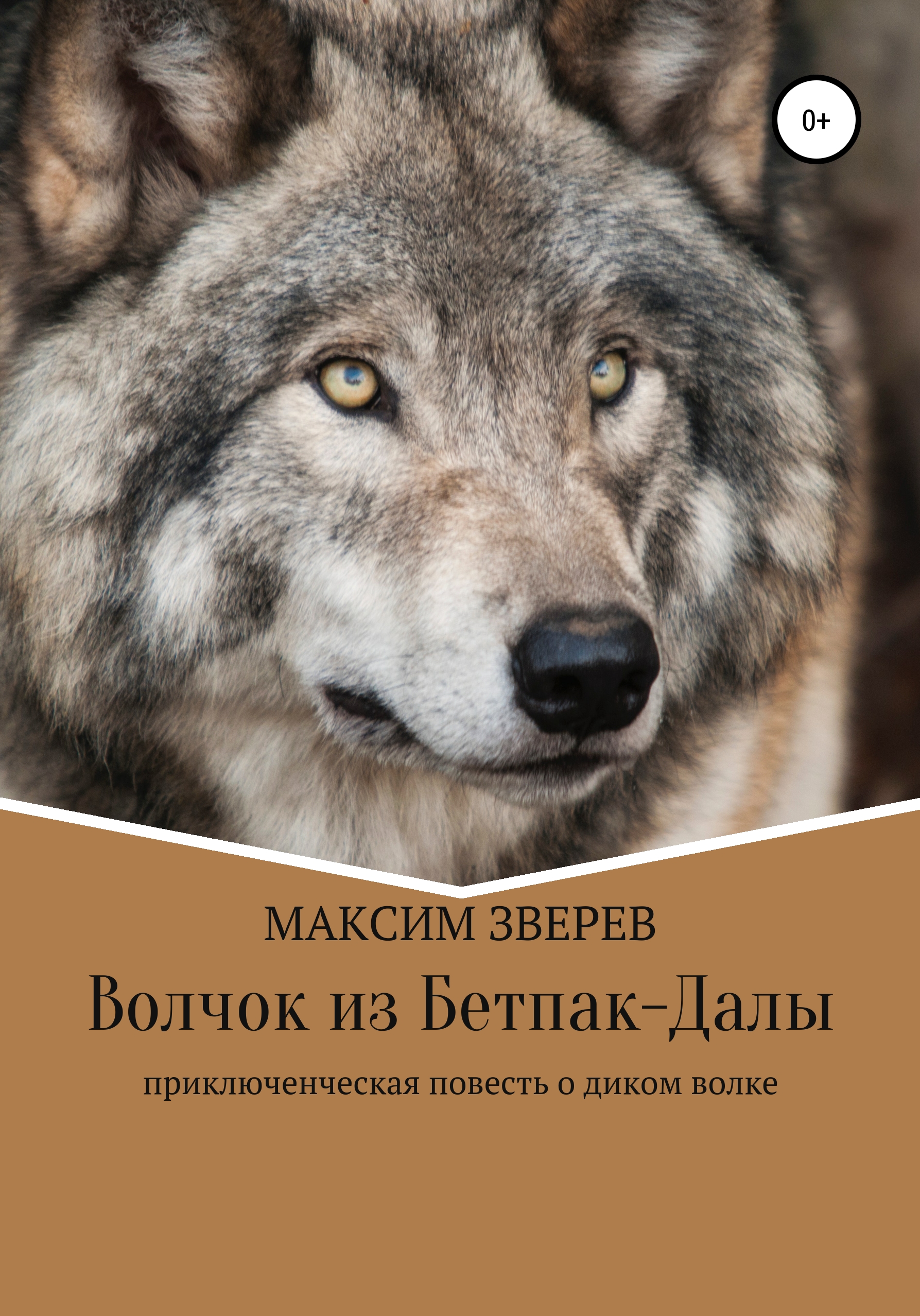 Обложка книги «Волчок из Бетпак-Далы»