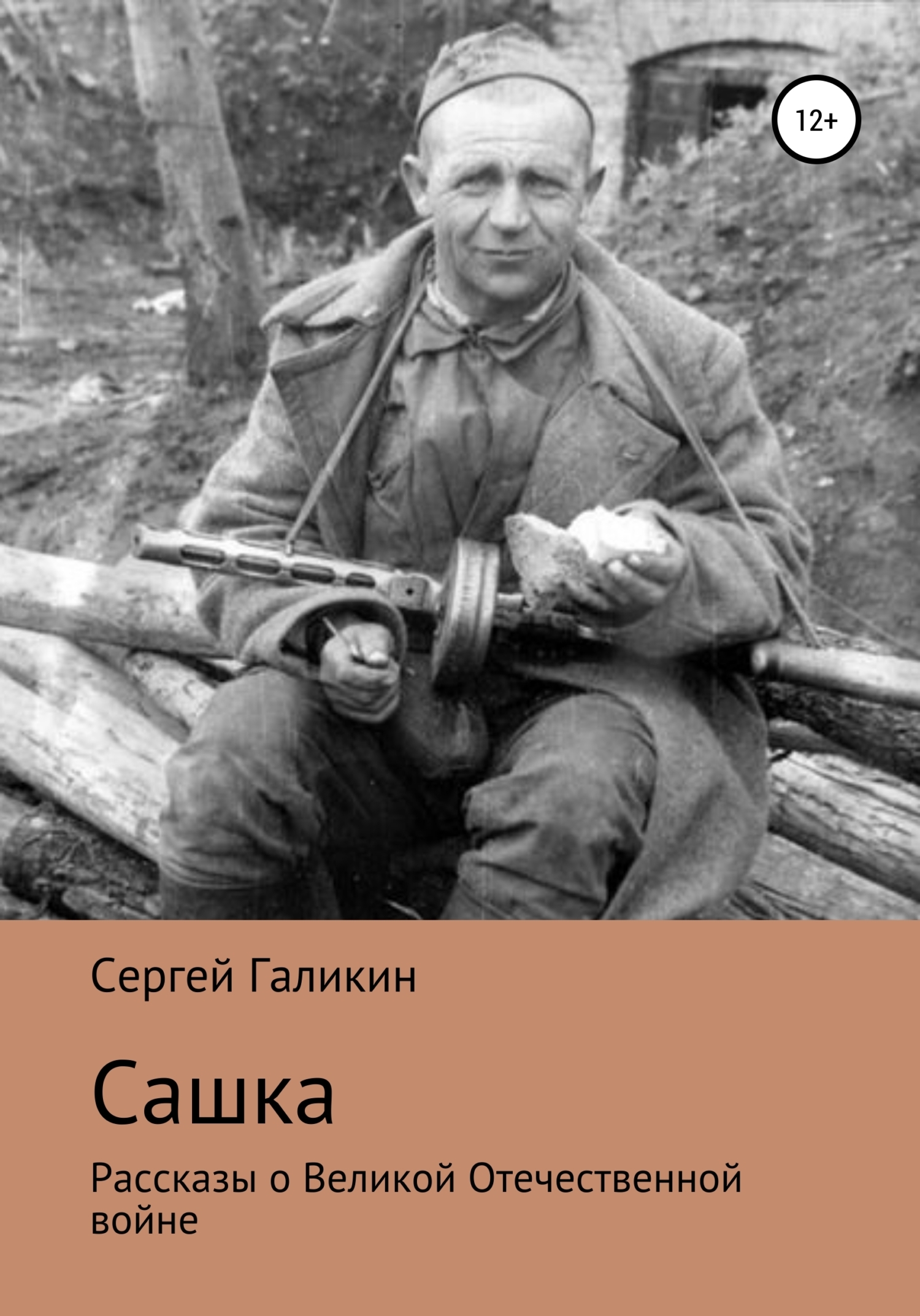 Обложка книги «Сашка»