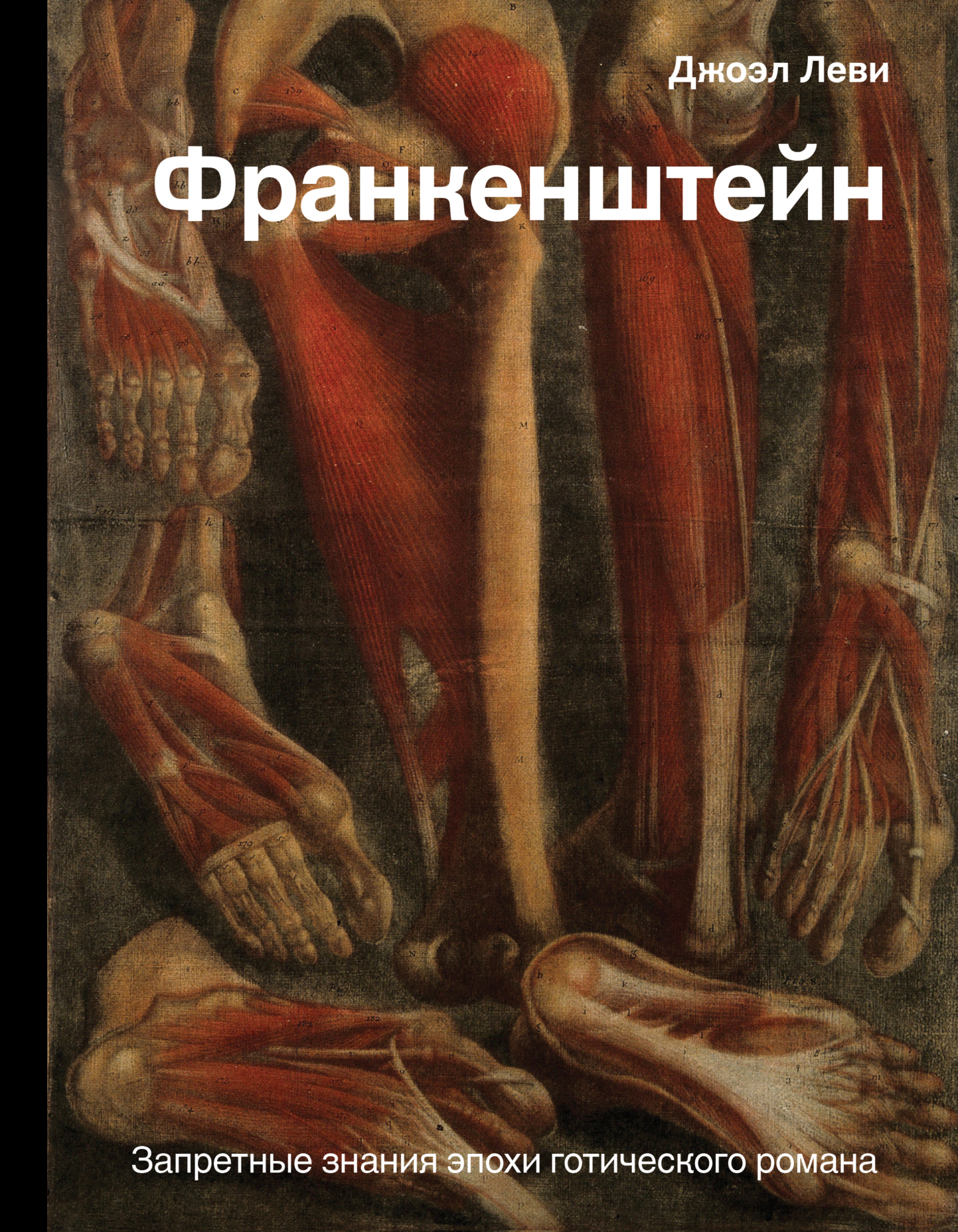 Обложка книги «Франкенштейн. Запретные знания эпохи готического романа»