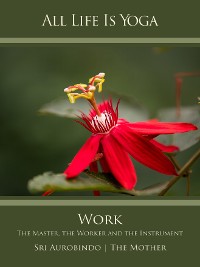 Обложка книги «All Life Is Yoga: Work»