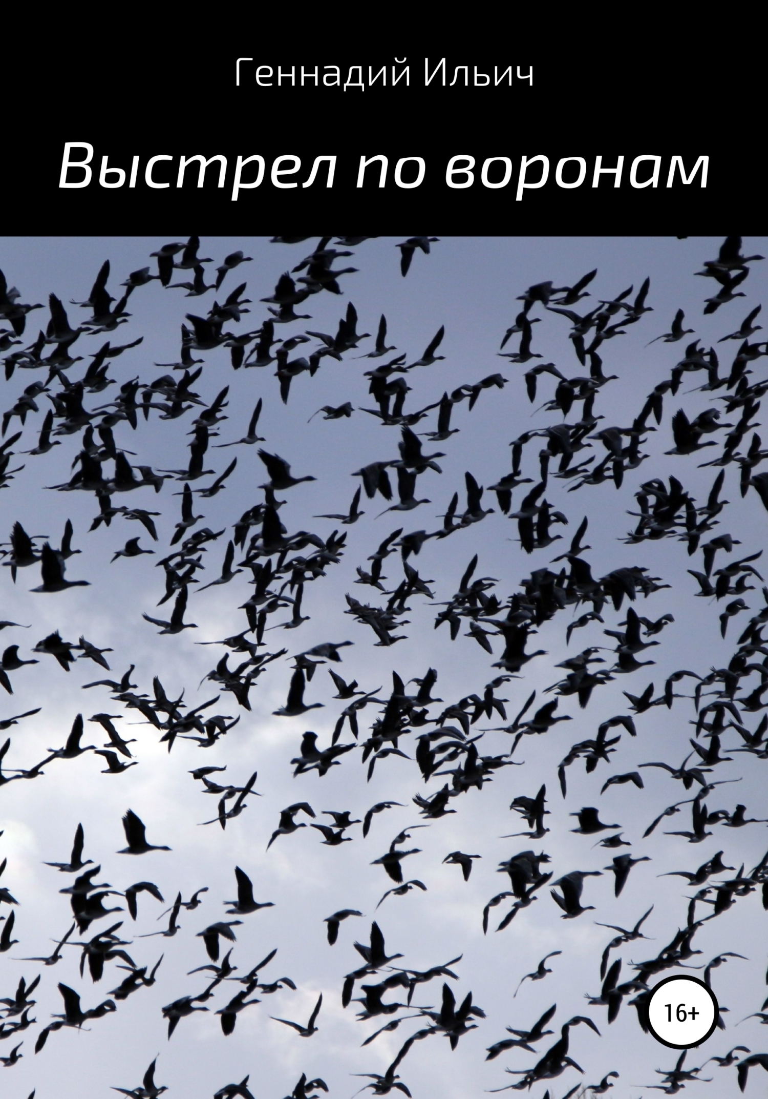 Обложка книги «Выстрел по воронам»