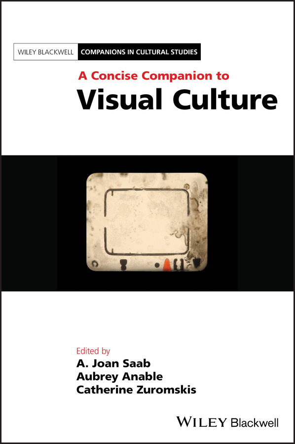 Обложка книги «A Concise Companion to Visual Culture»
