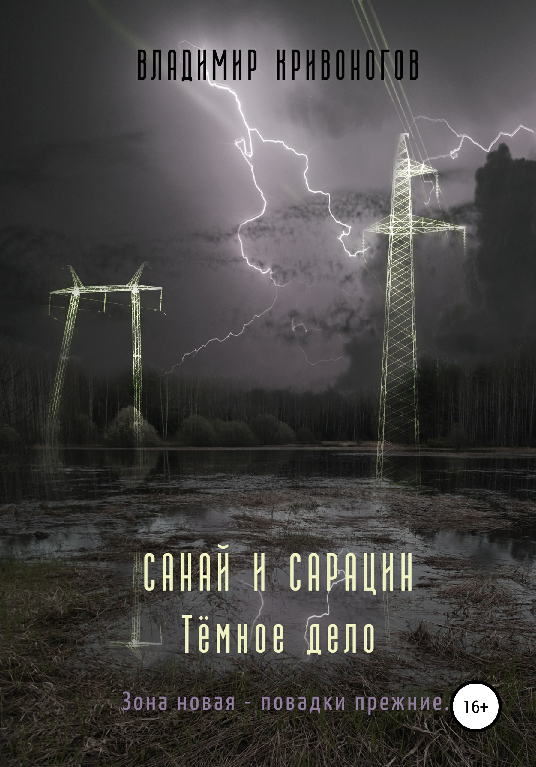 Обложка книги «Санай и Сарацин. Темное дело»