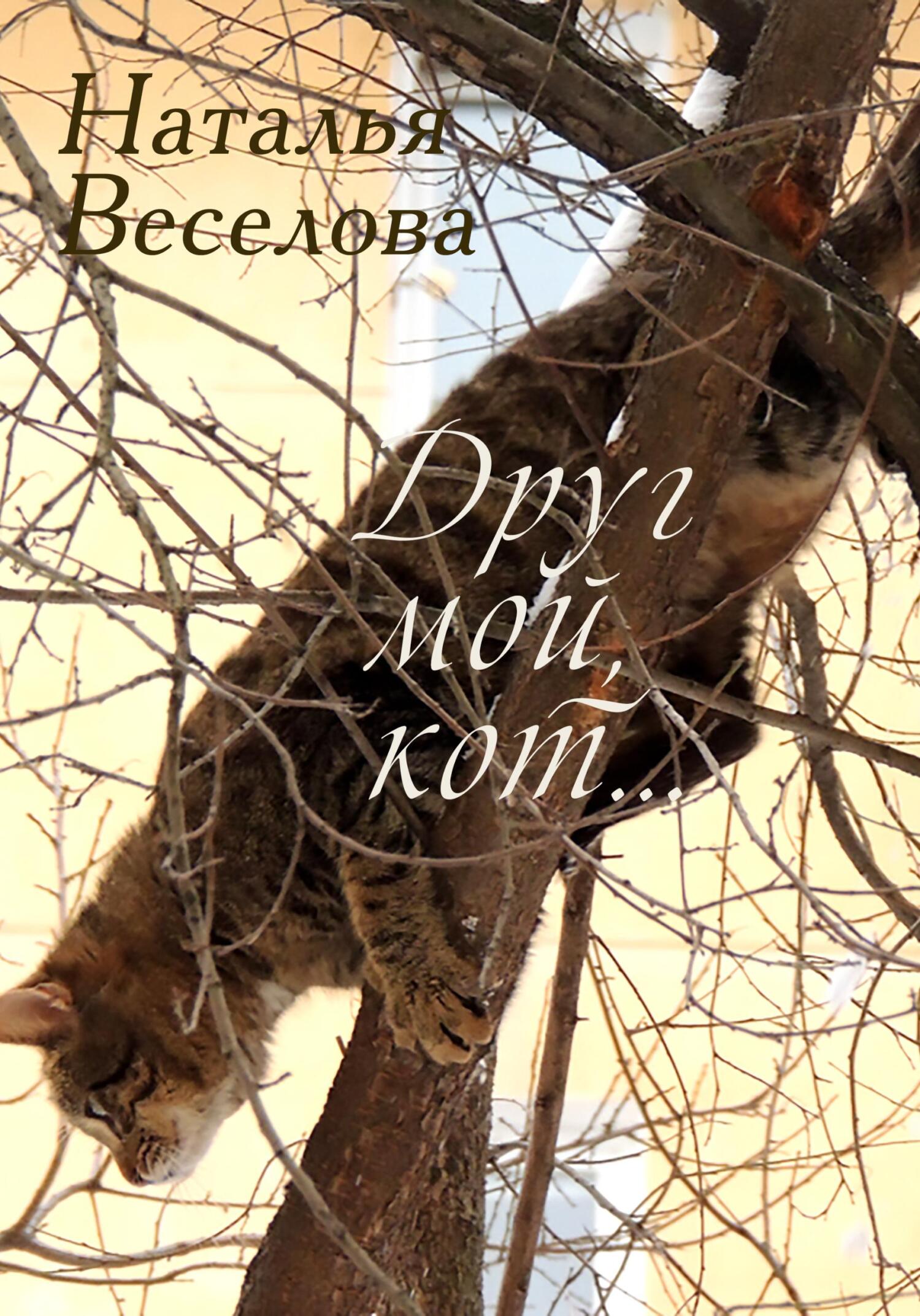 Обложка книги «Друг мой, кот...»