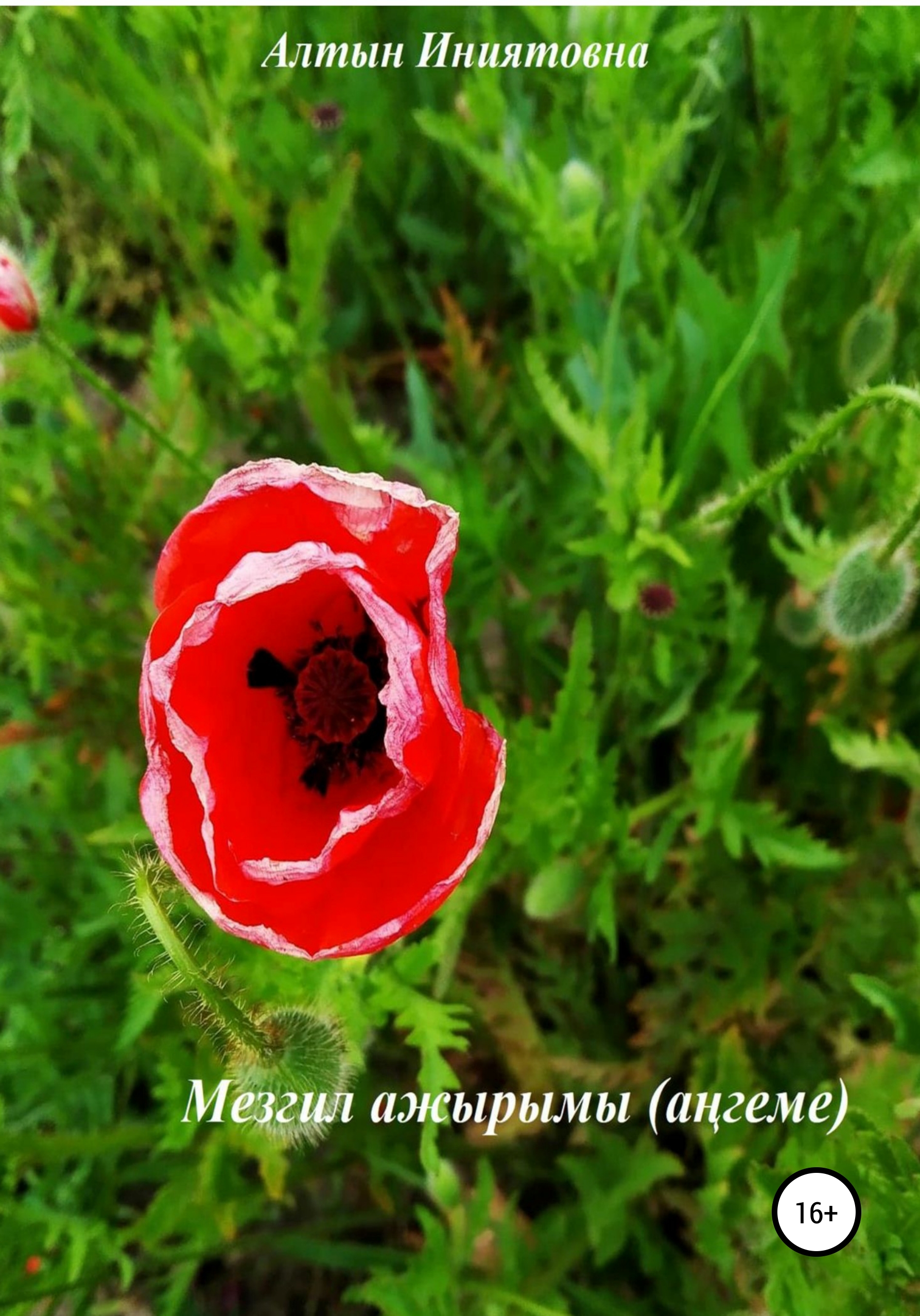 Обложка книги «Мезгил ажырымы»