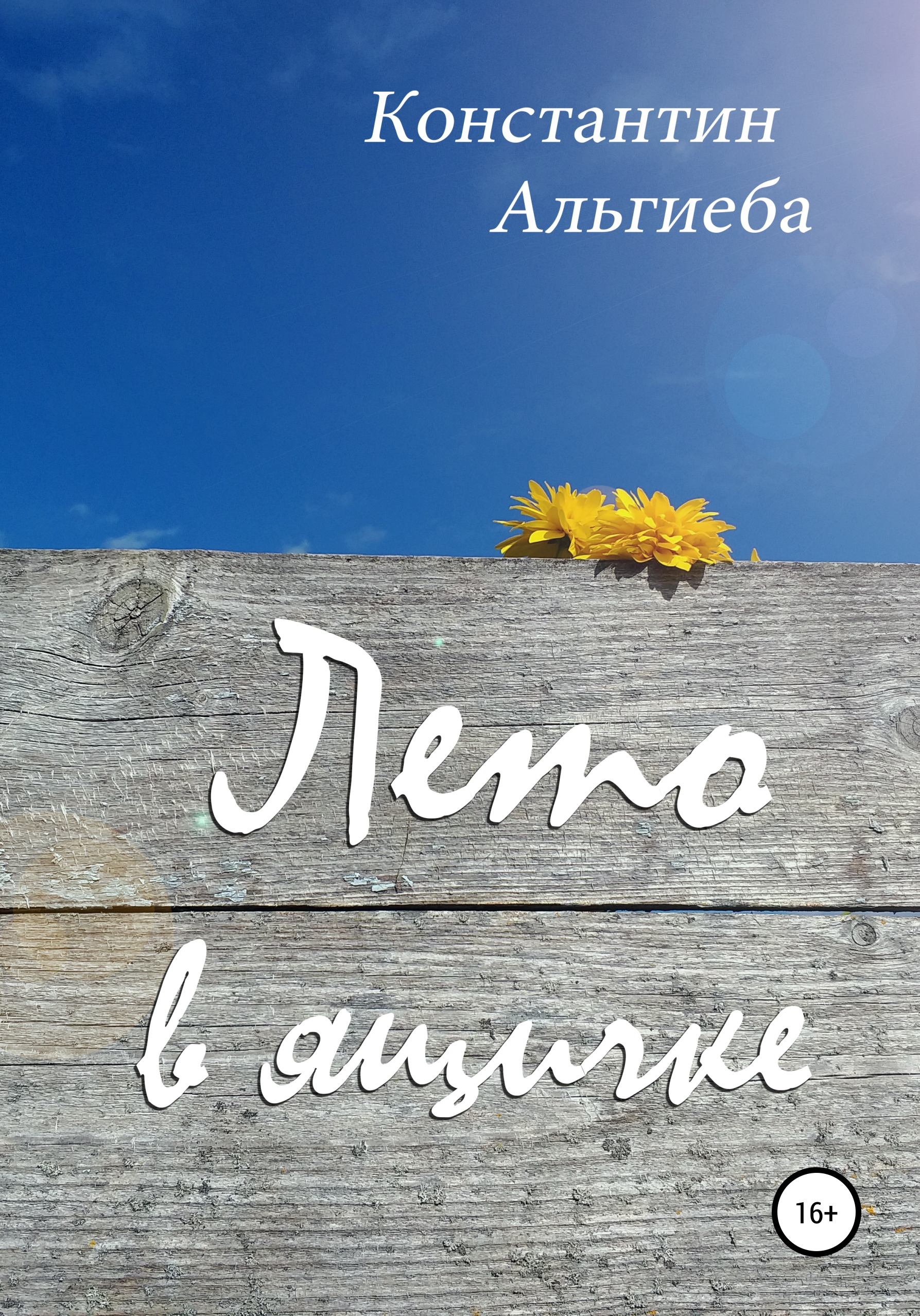 Обложка книги «Лето в ящичке»