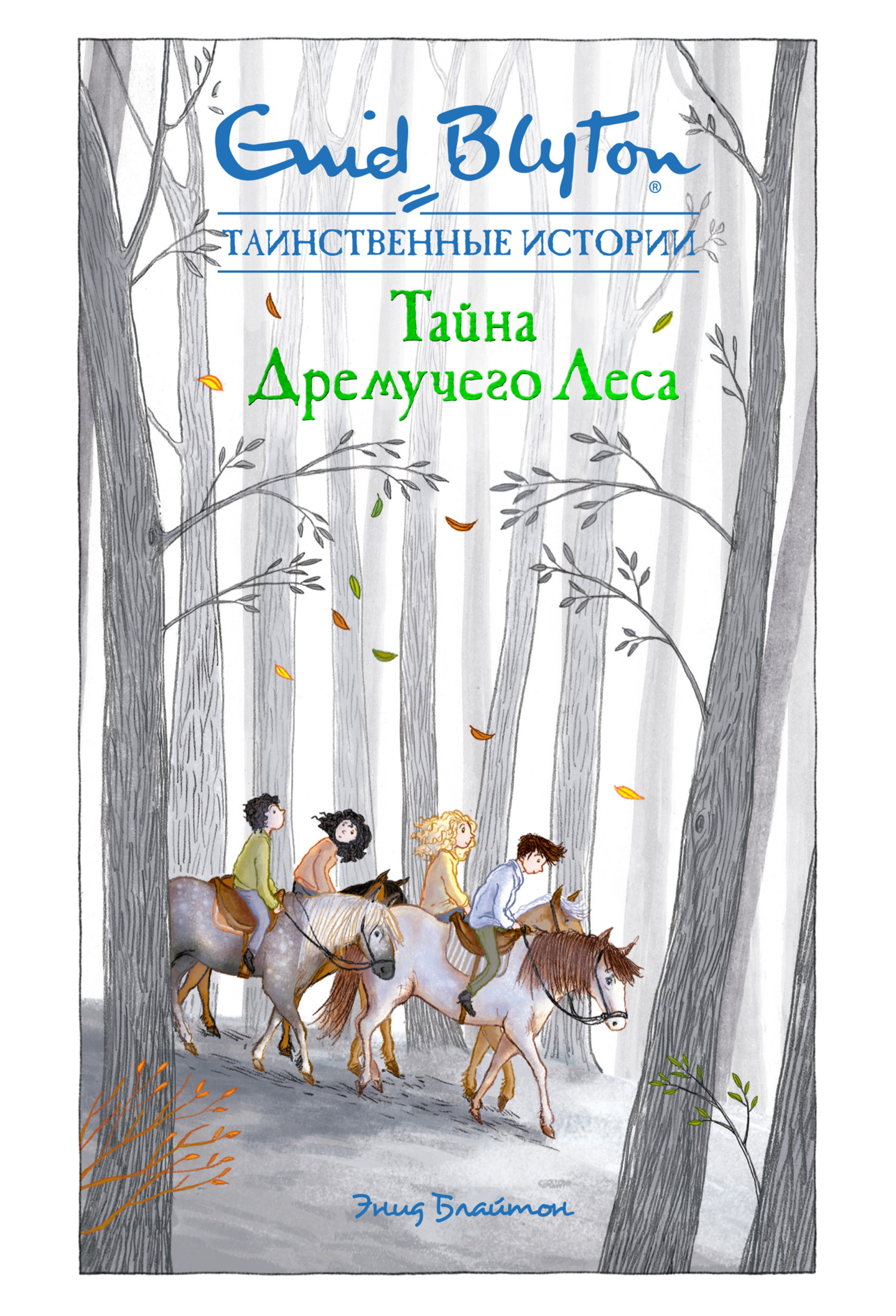 Обложка книги «Тайна дремучего леса»