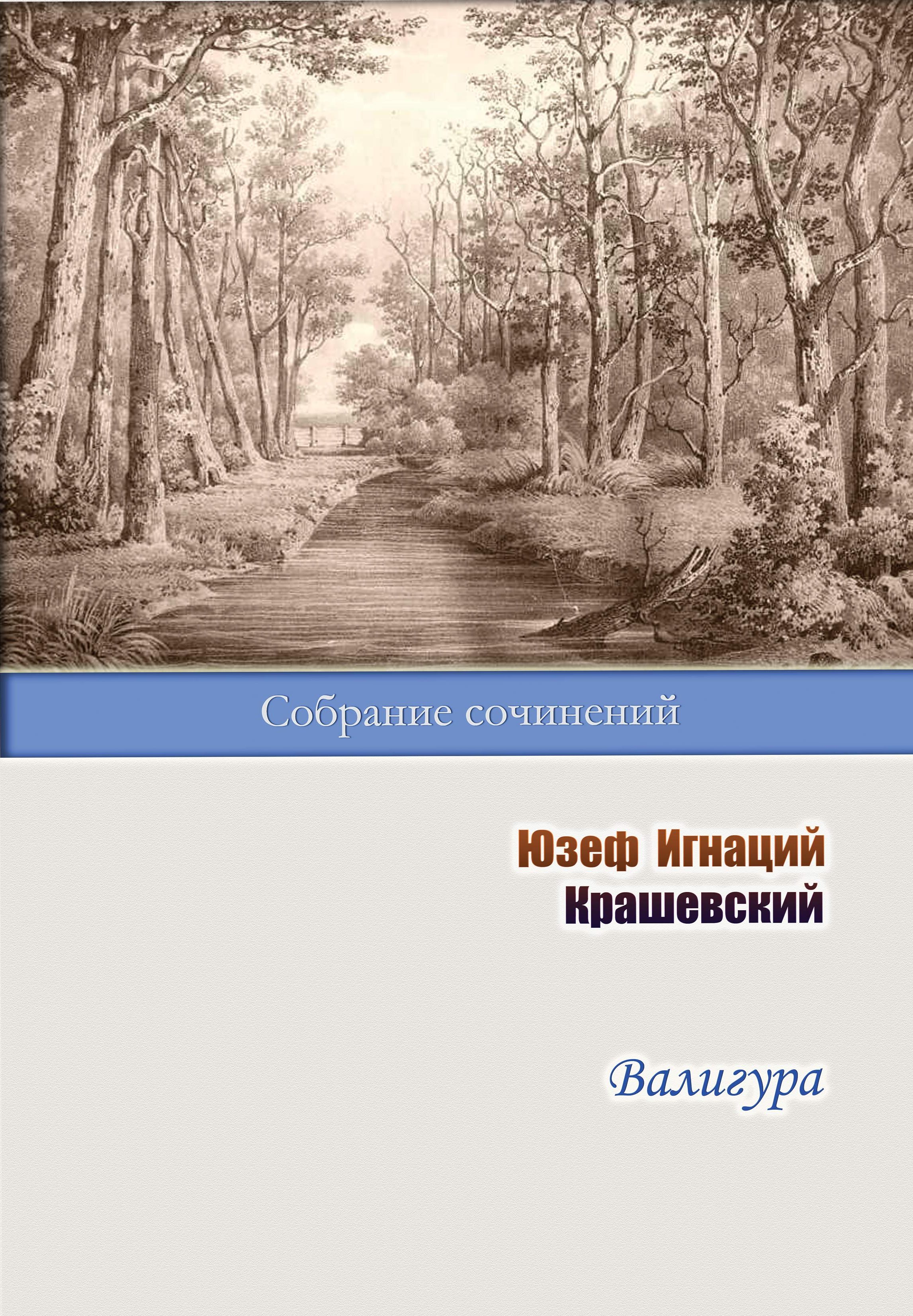Обложка книги «Валигура»